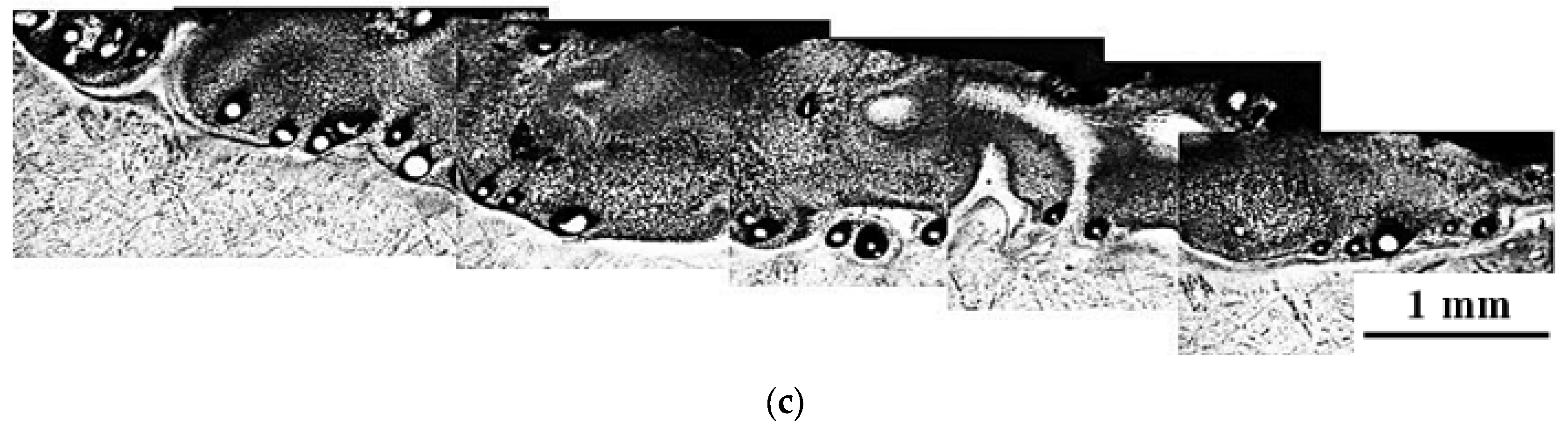 Materials 10 01178 g004b