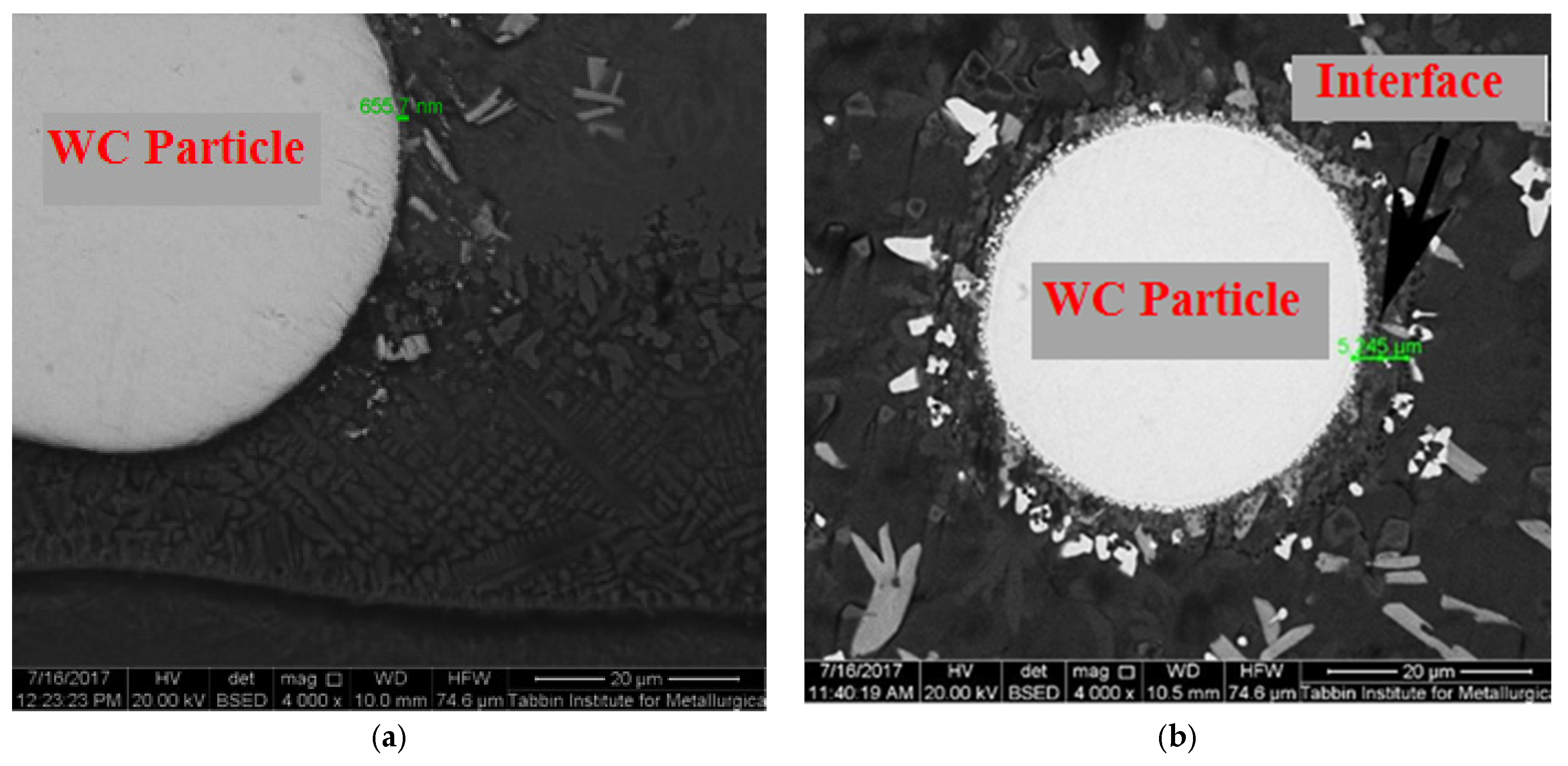 Materials 10 01178 g009