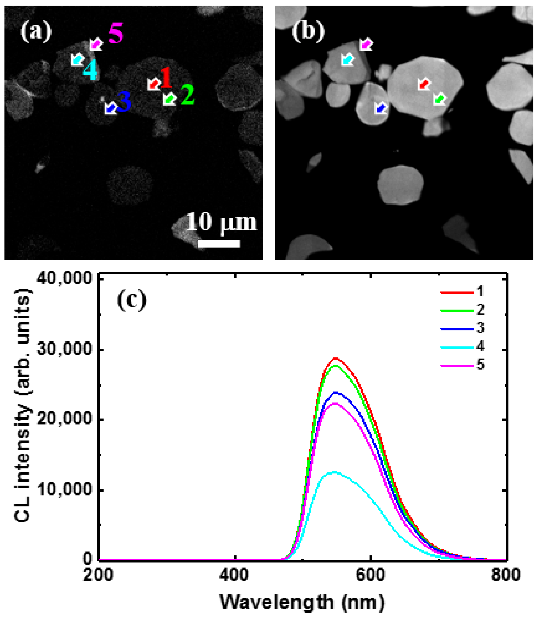 Materials 10 01180 g006