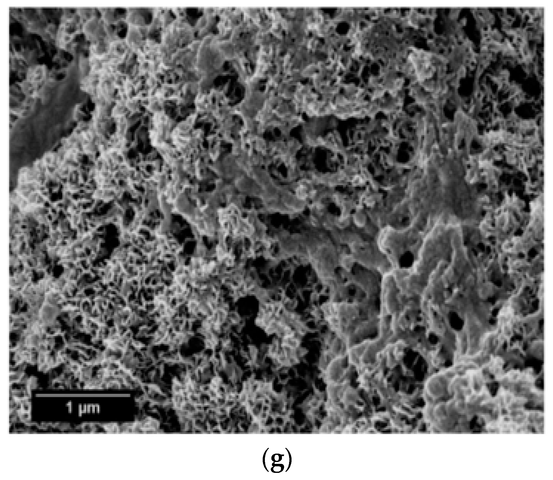 Materials 10 01188 g005b