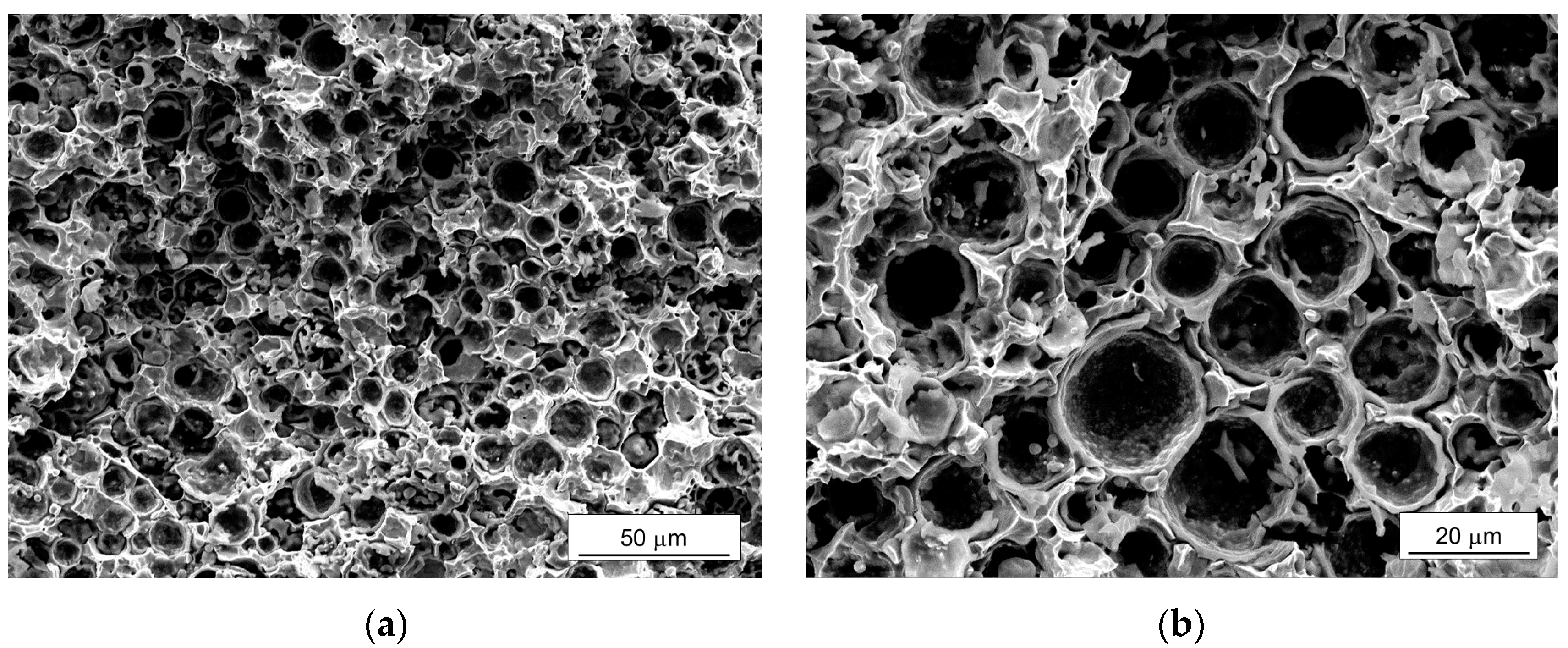 Materials 10 01201 g010