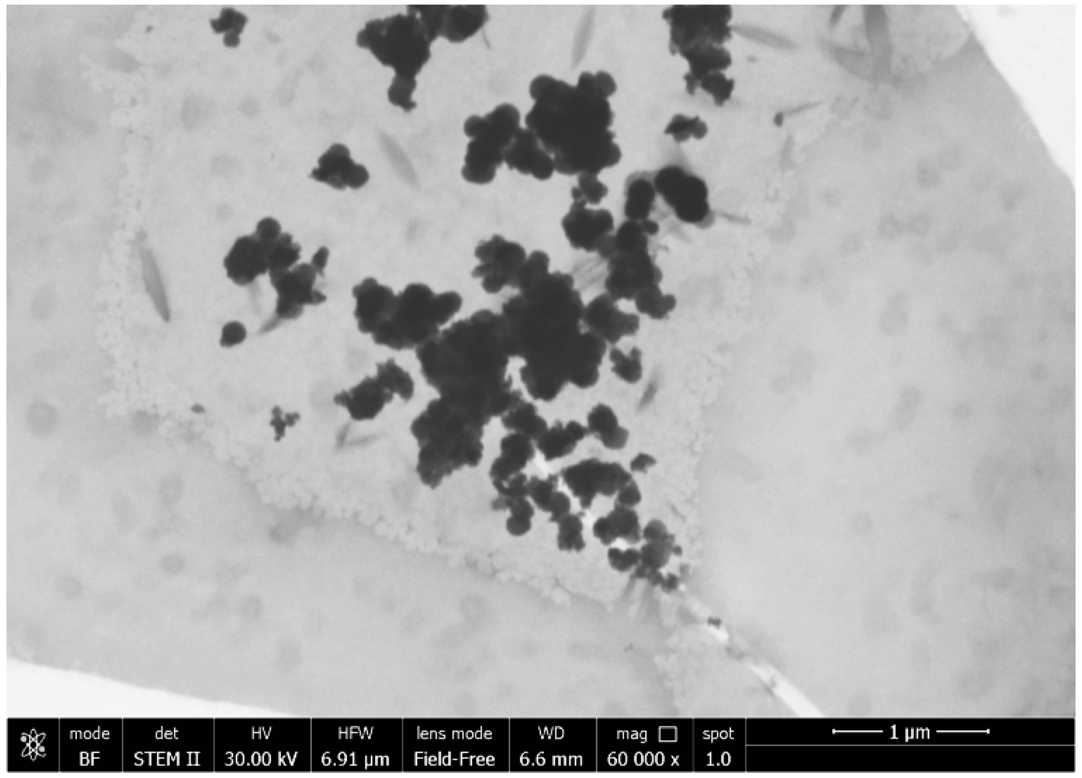 Materials 10 01208 g002