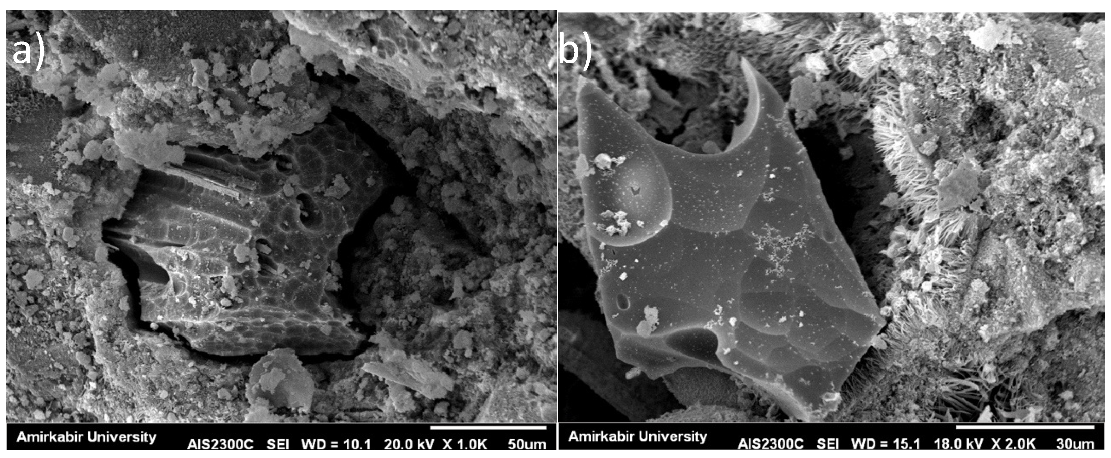 Materials 10 01215 g006