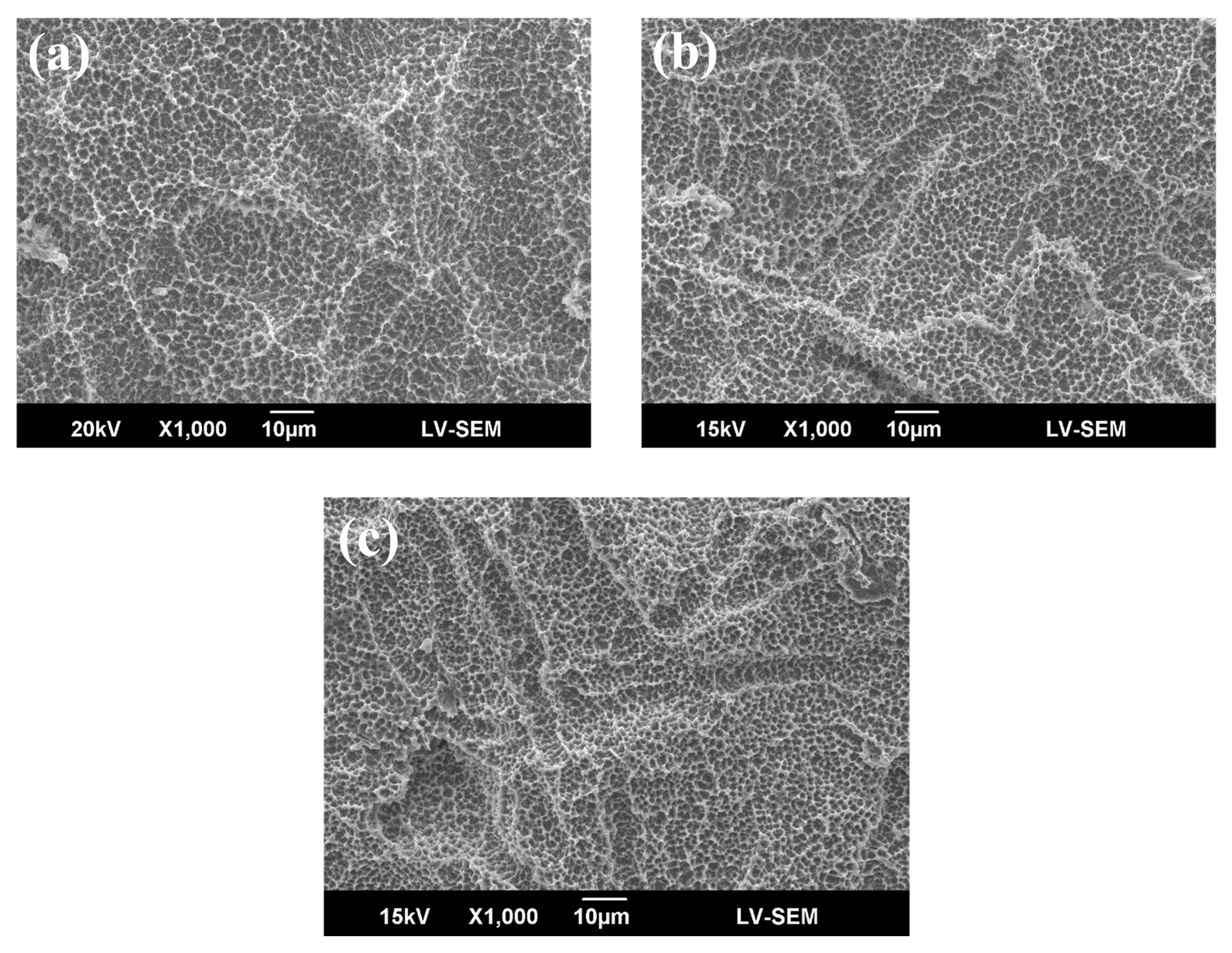 Materials 10 01223 g001