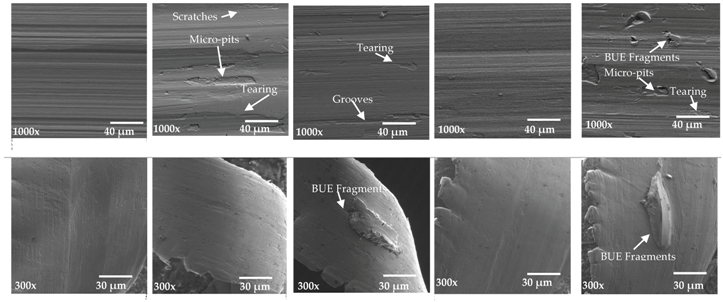 Materials 10 01230 i001