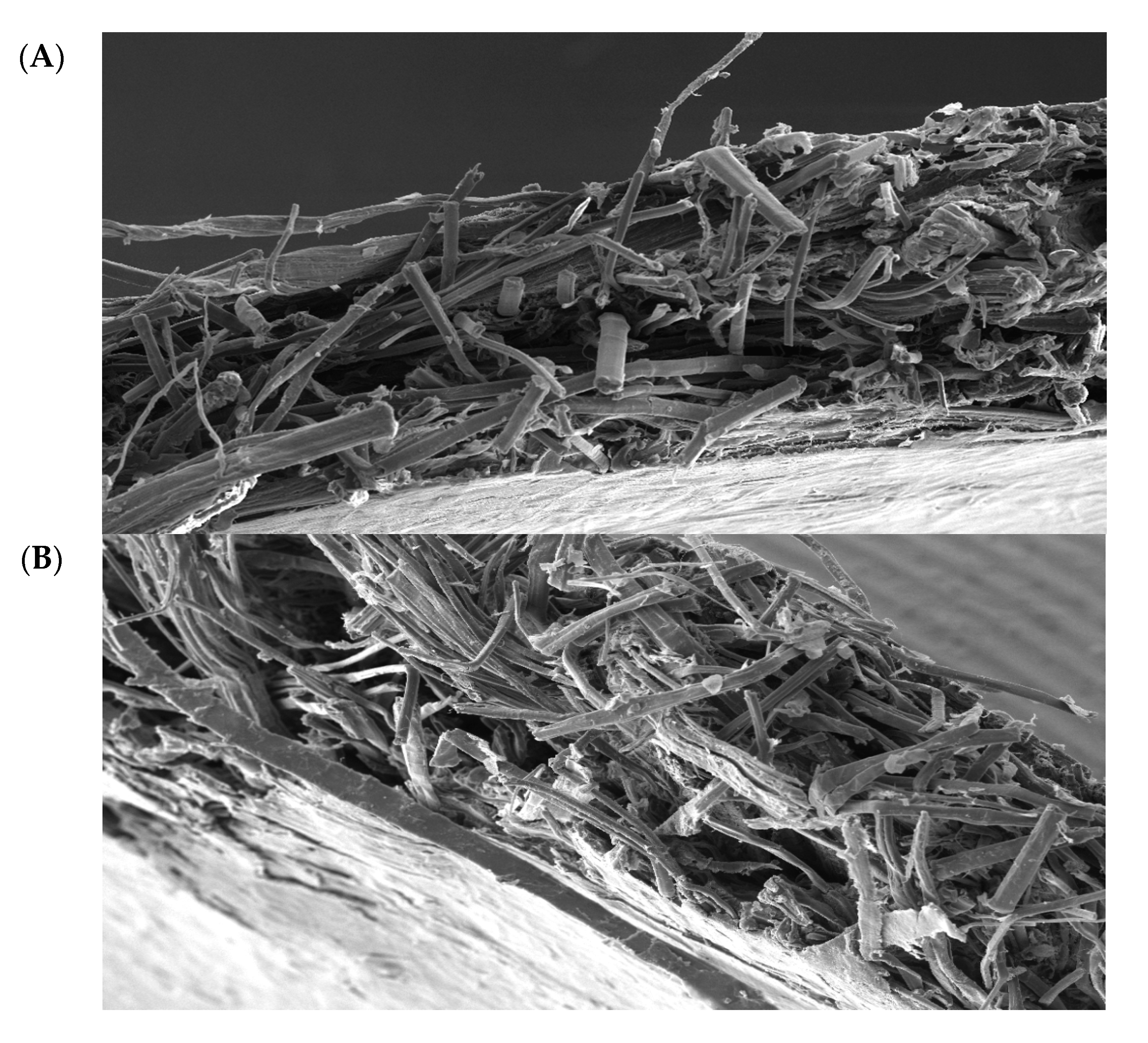 Materials 10 01252 g006a