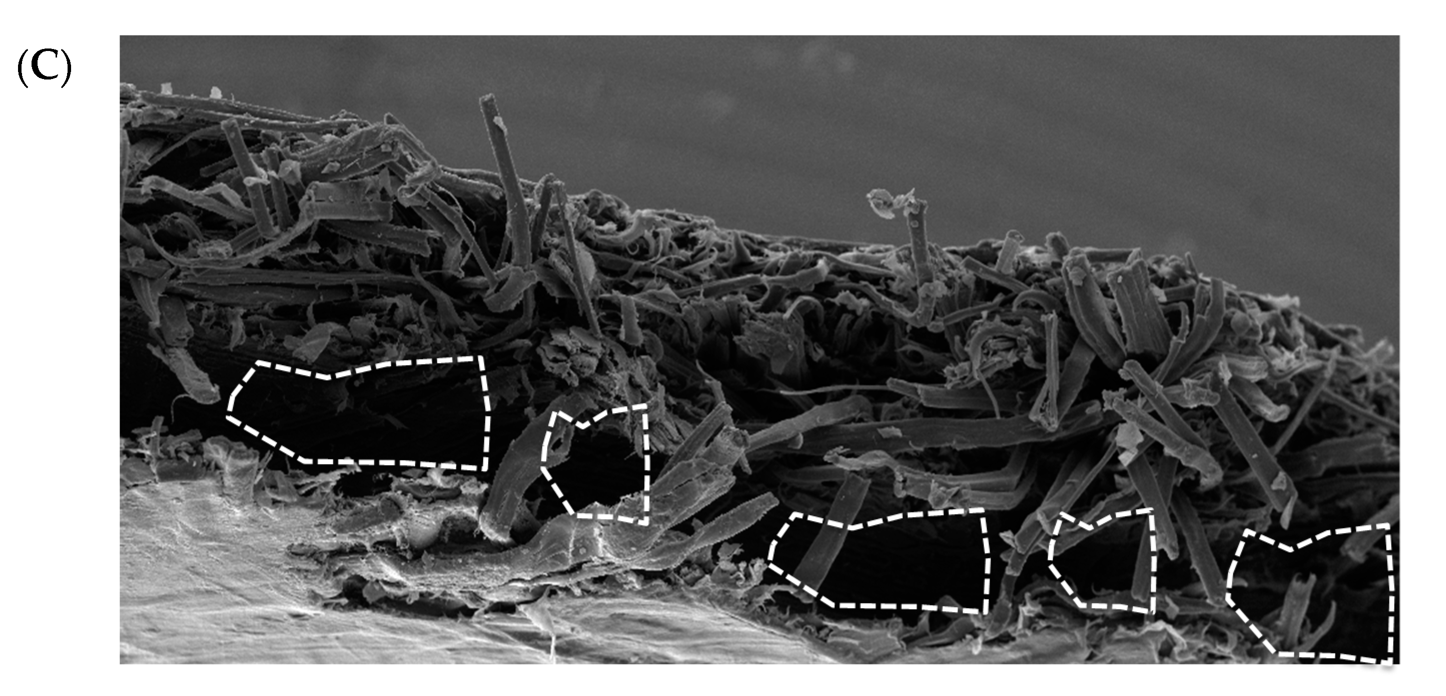 Materials 10 01252 g006b