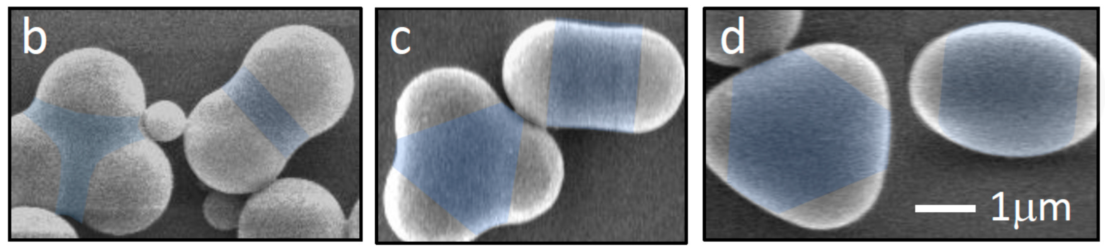 Materials 10 01265 g001b