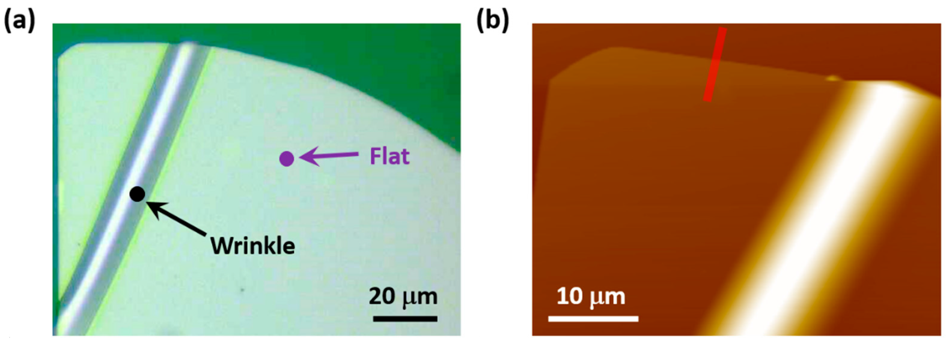 Materials 10 01282 g001a