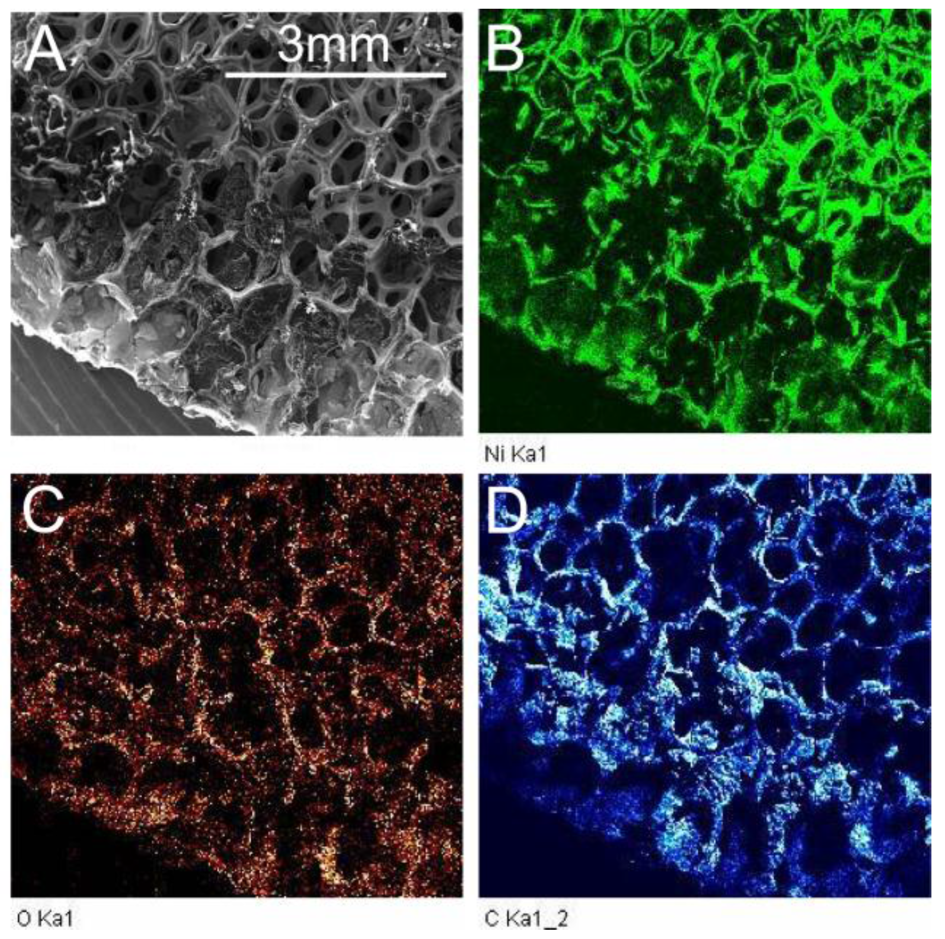 Materials 10 01295 g001