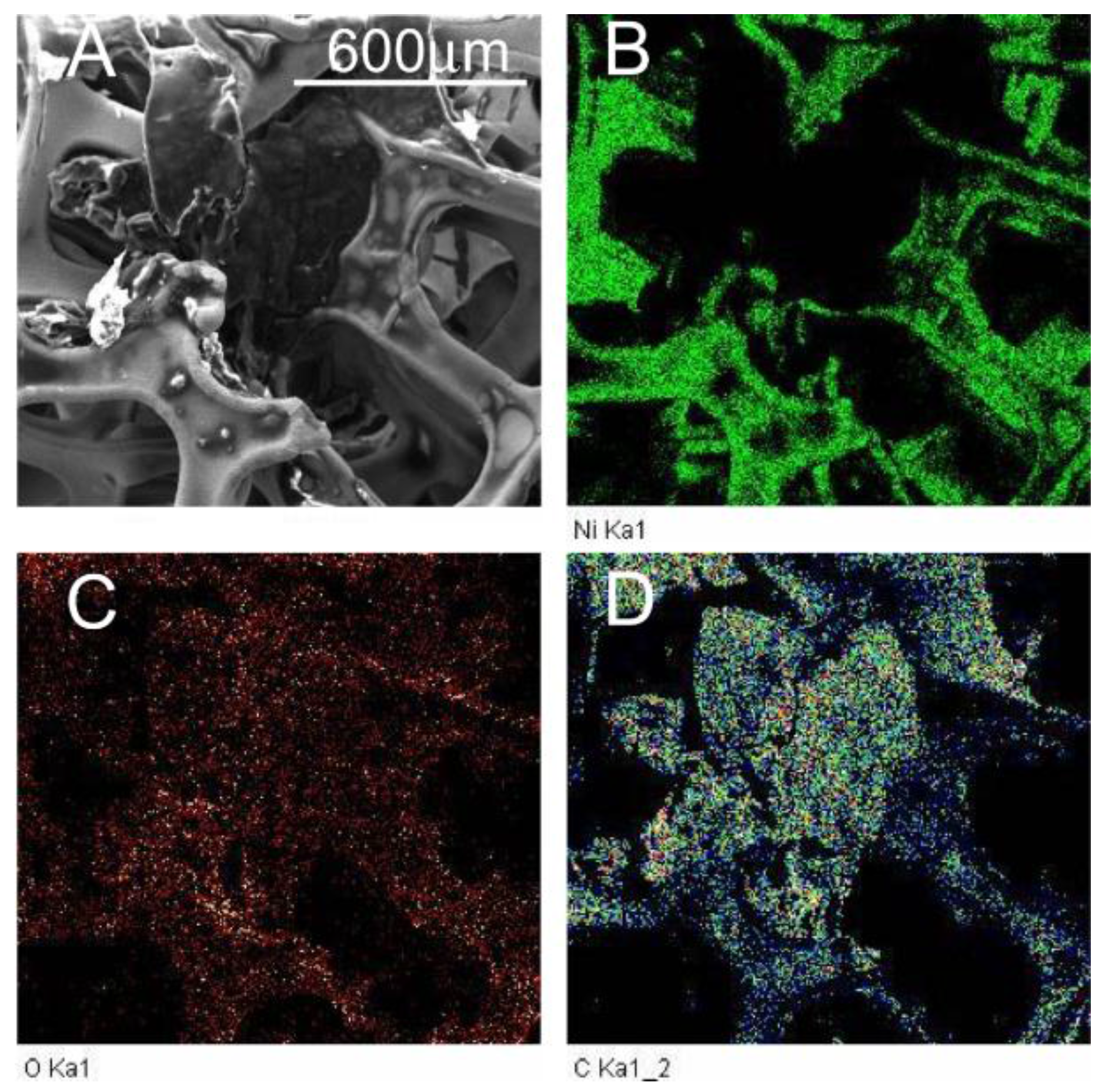 Materials 10 01295 g002