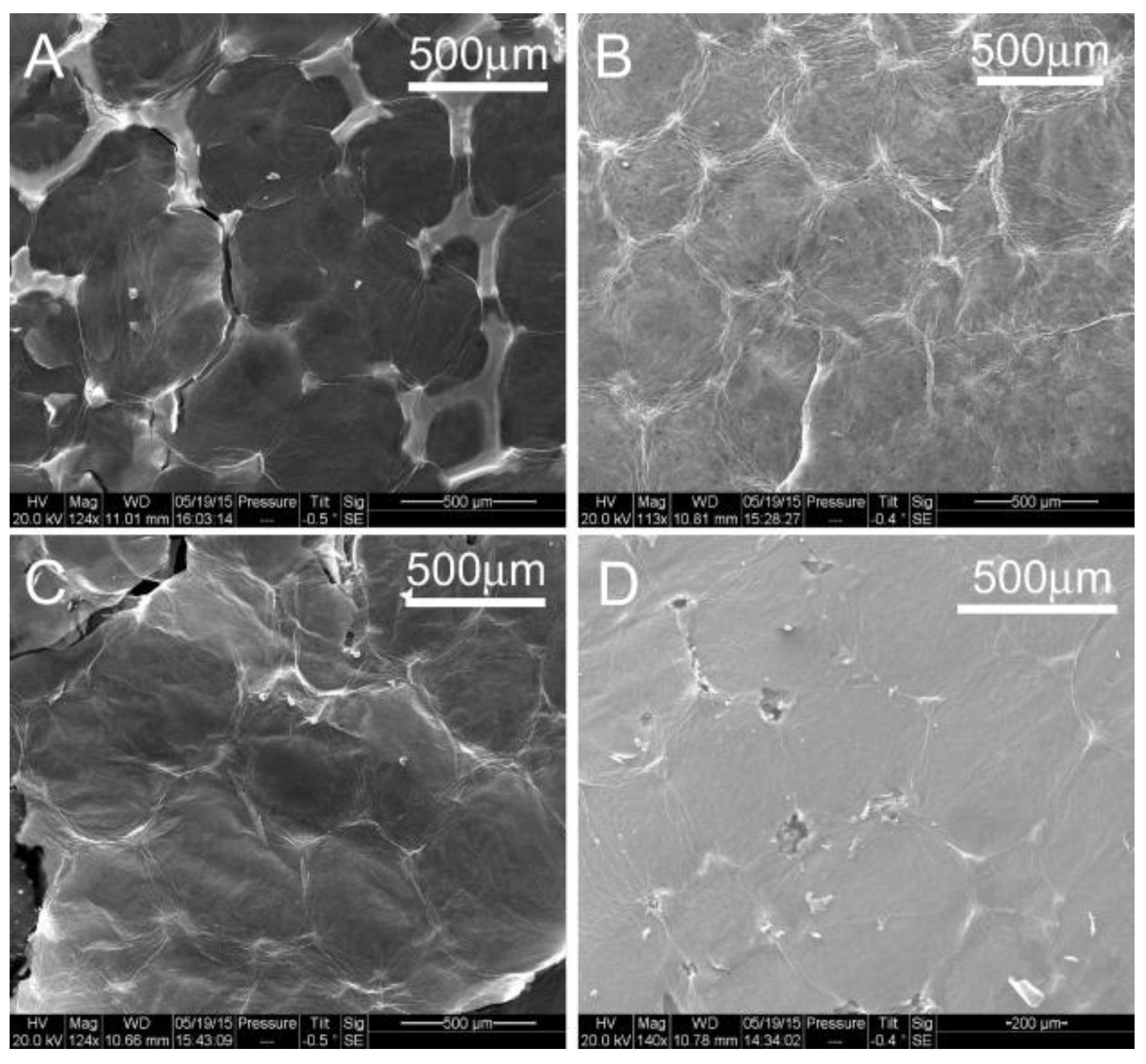 Materials 10 01295 g004