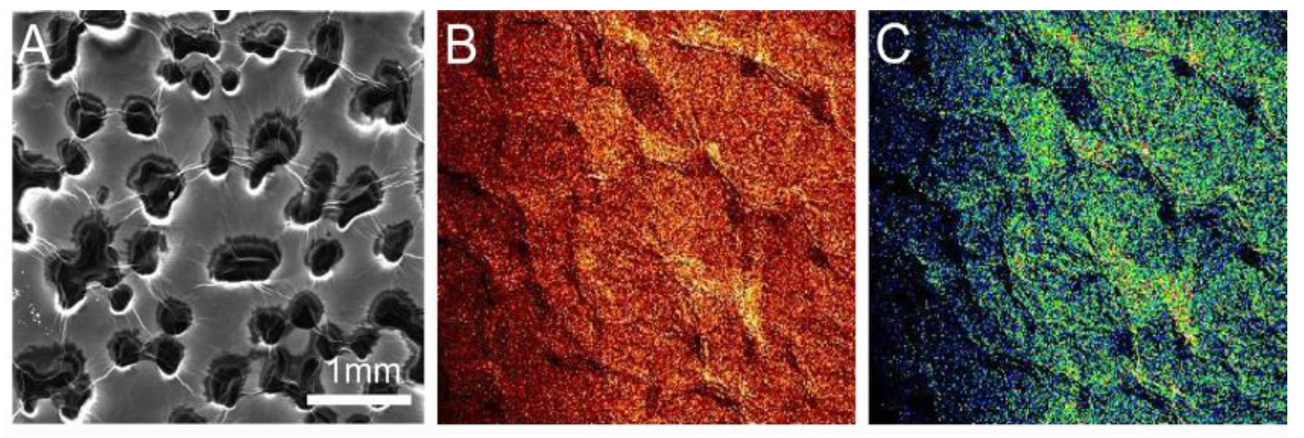 Materials 10 01295 g005