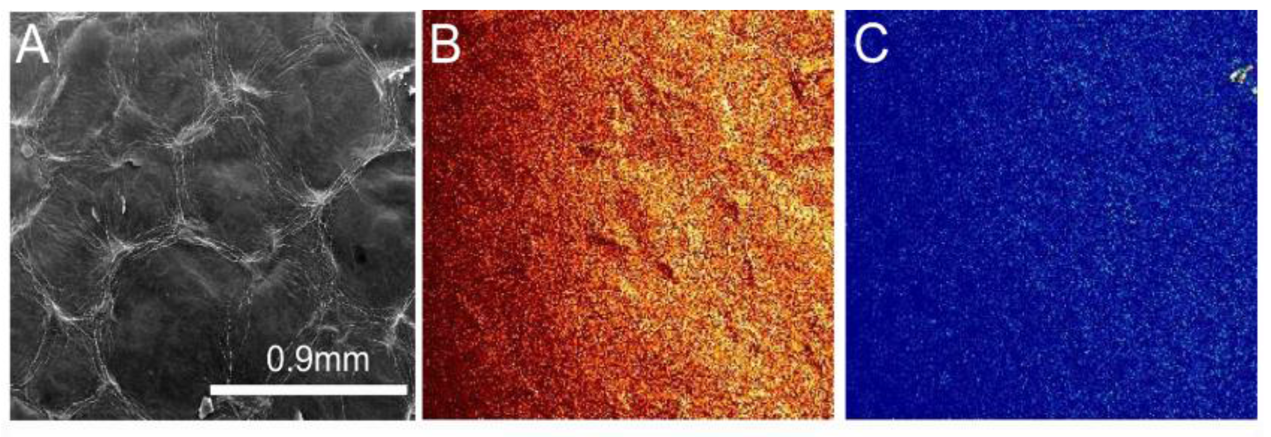 Materials 10 01295 g006