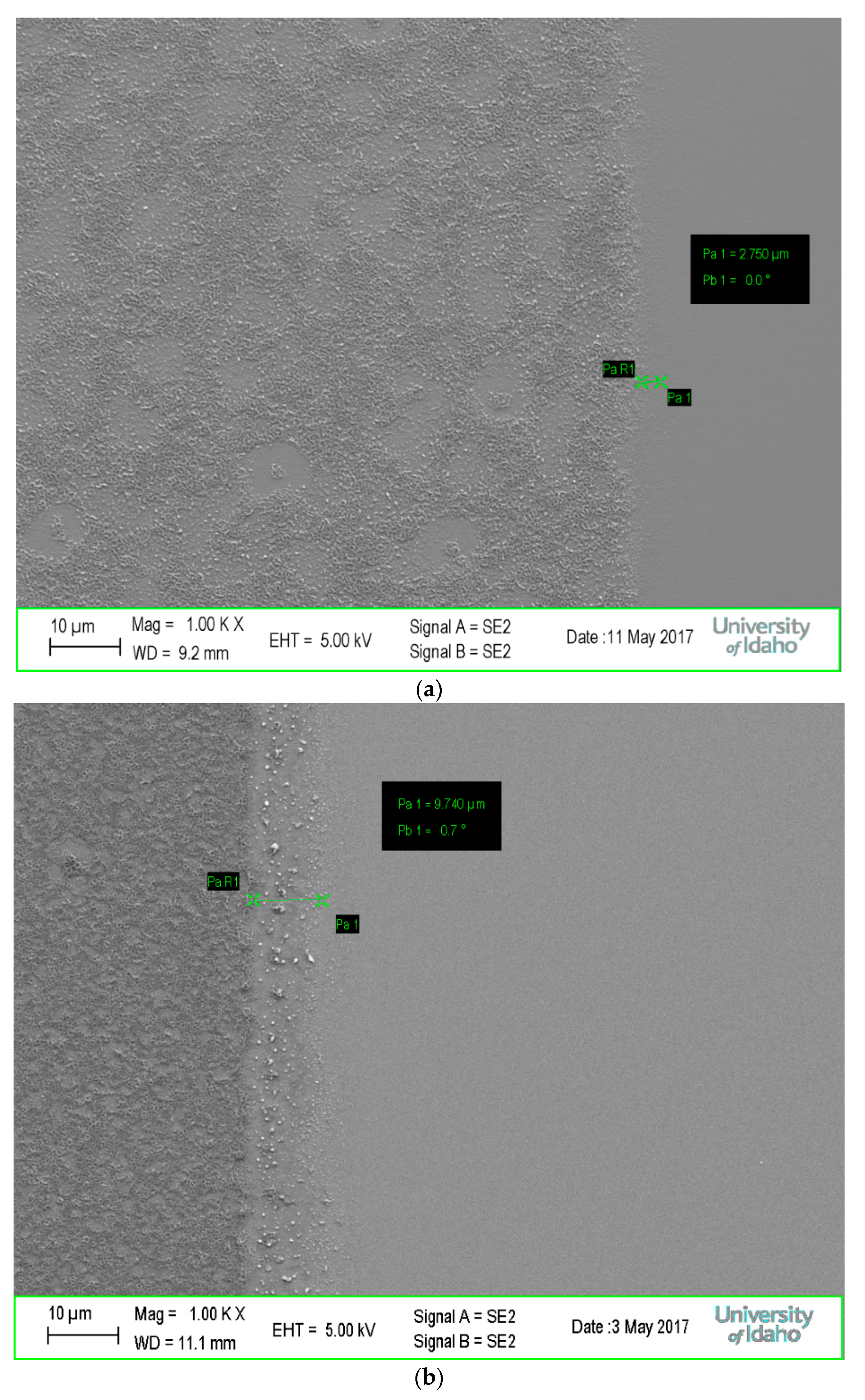 Materials 10 01309 g006