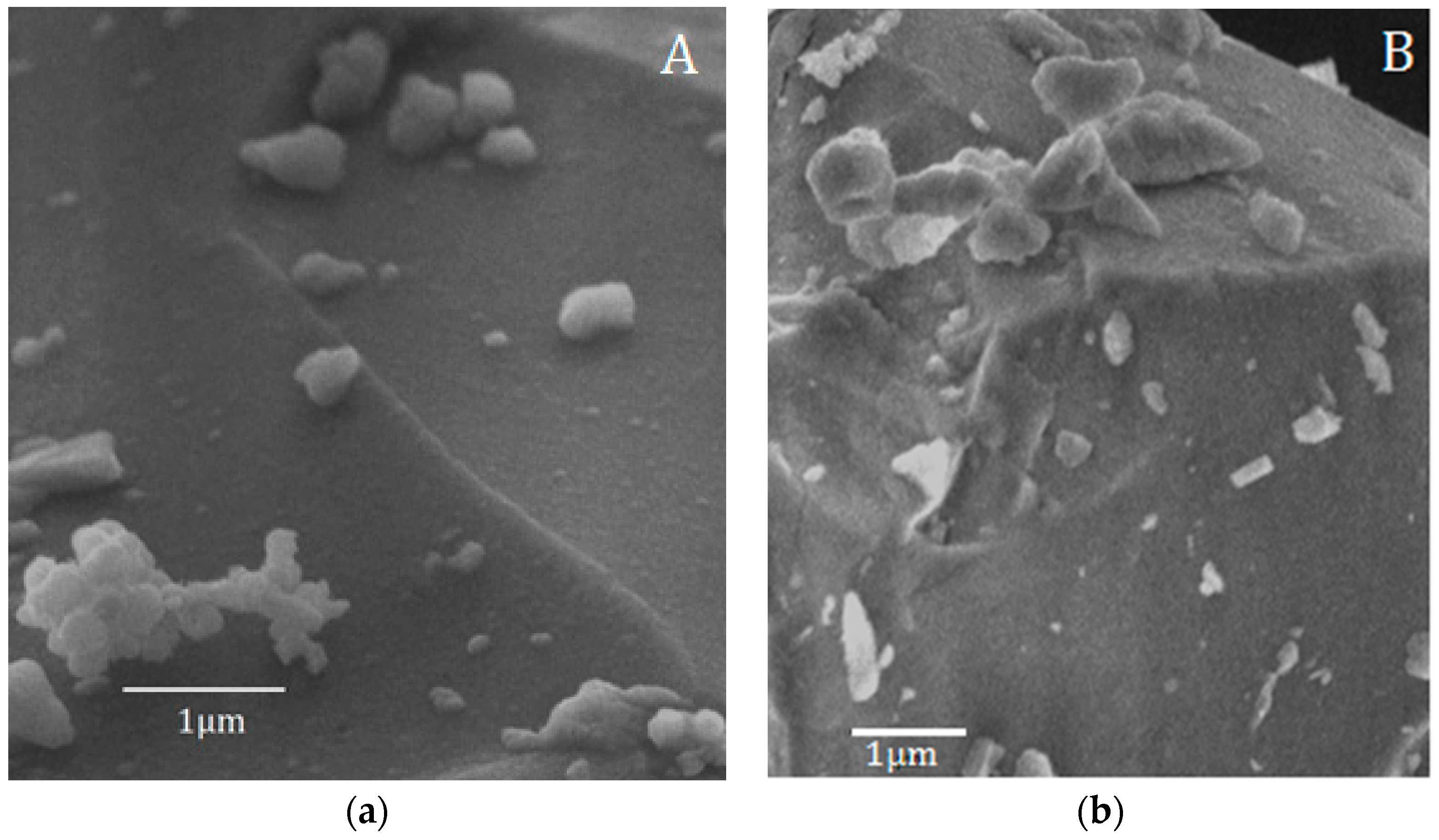 Materials 10 01324 g004