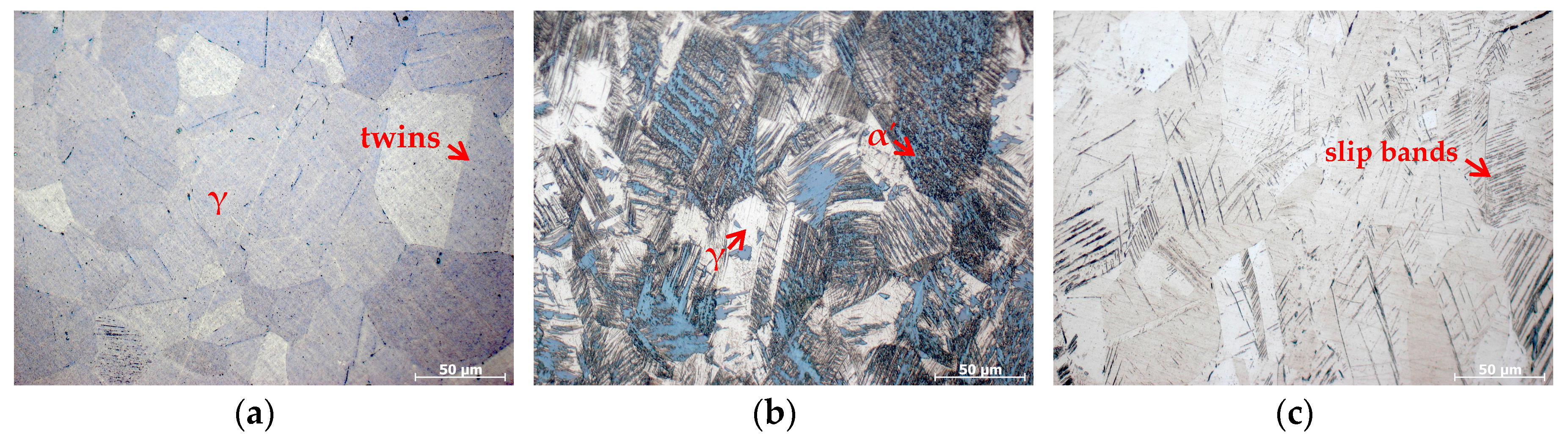Materials 10 01331 g001 Materials 10 01331 g001