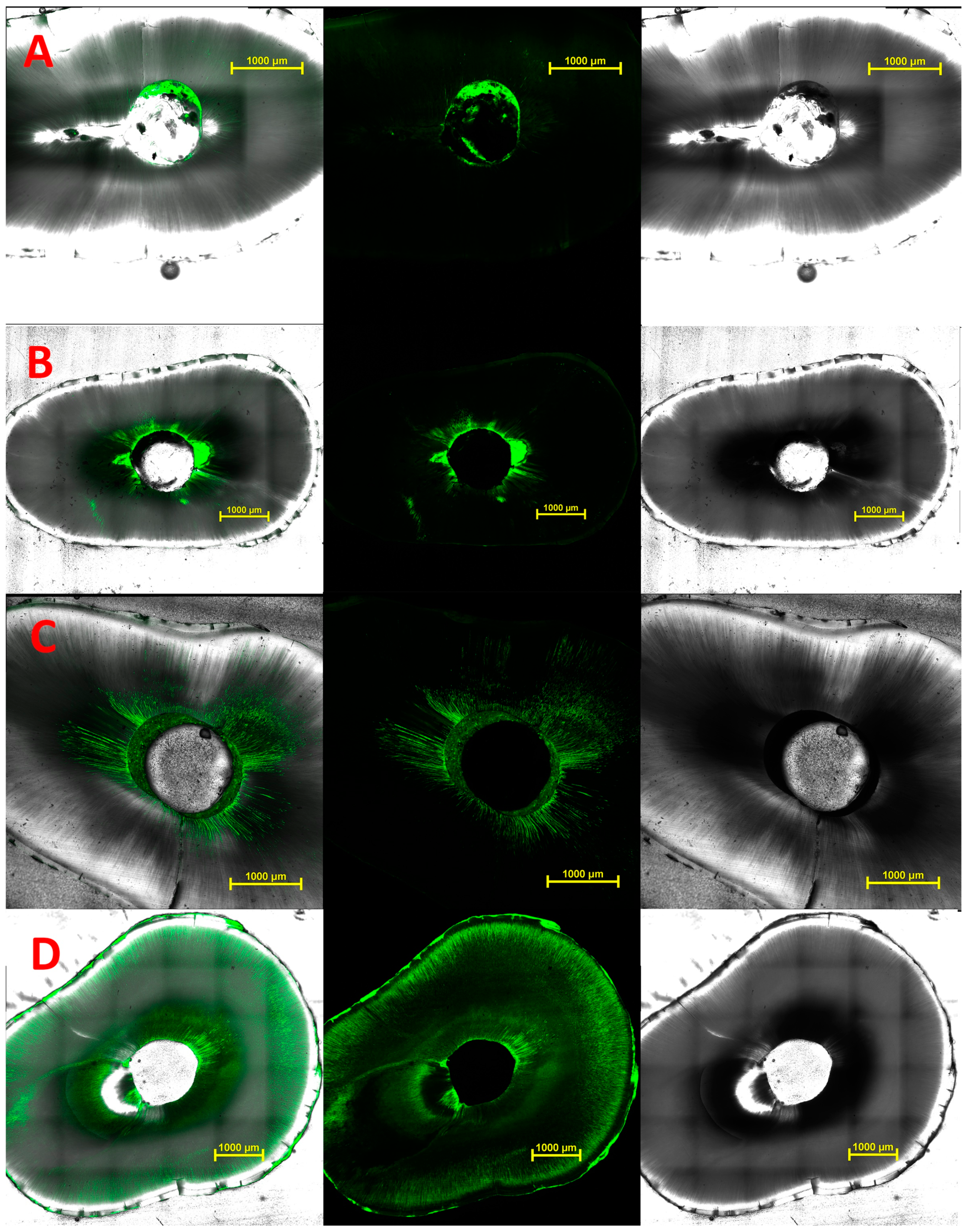 Materials 10 01333 g005