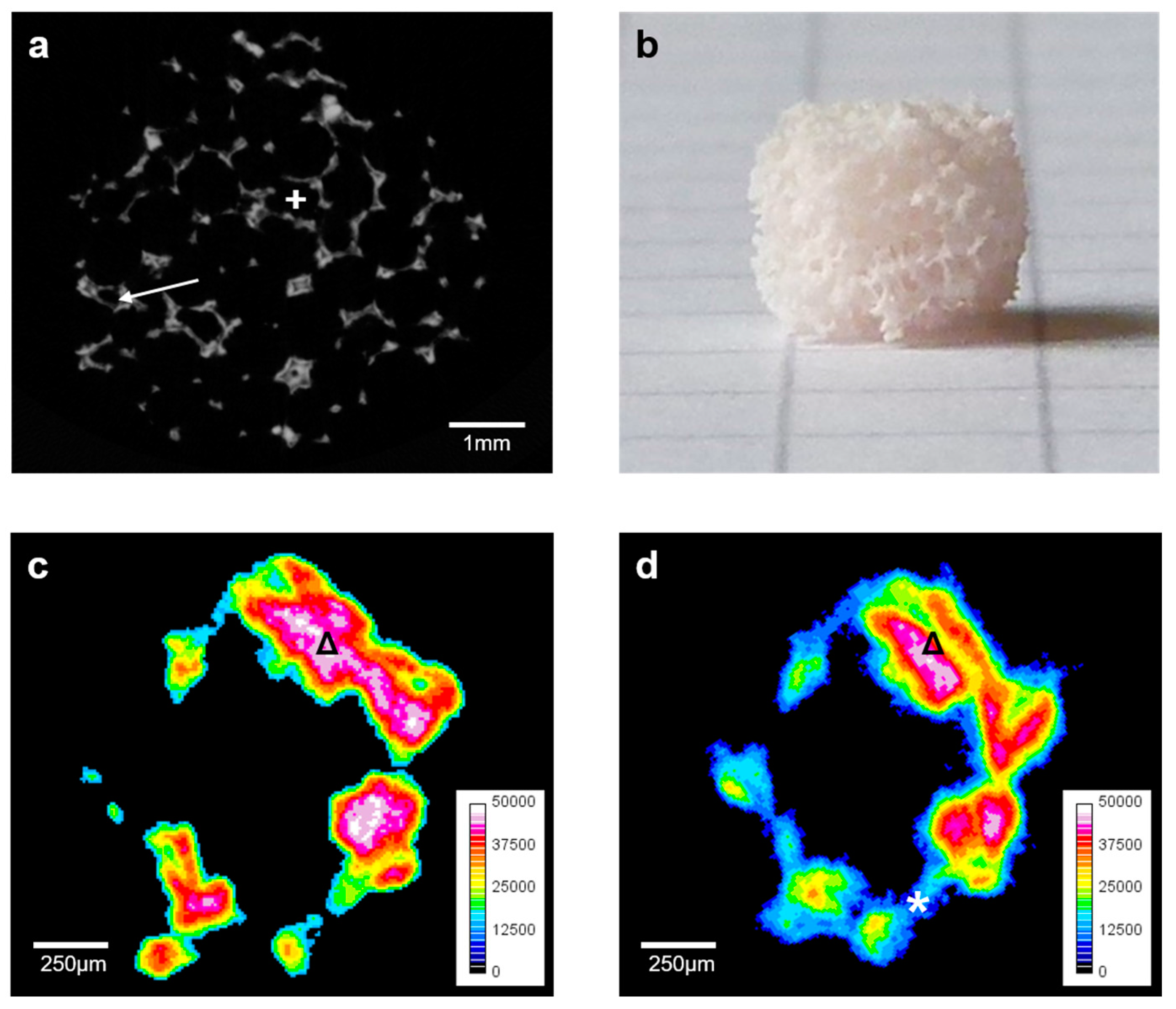 Materials 10 01341 g001