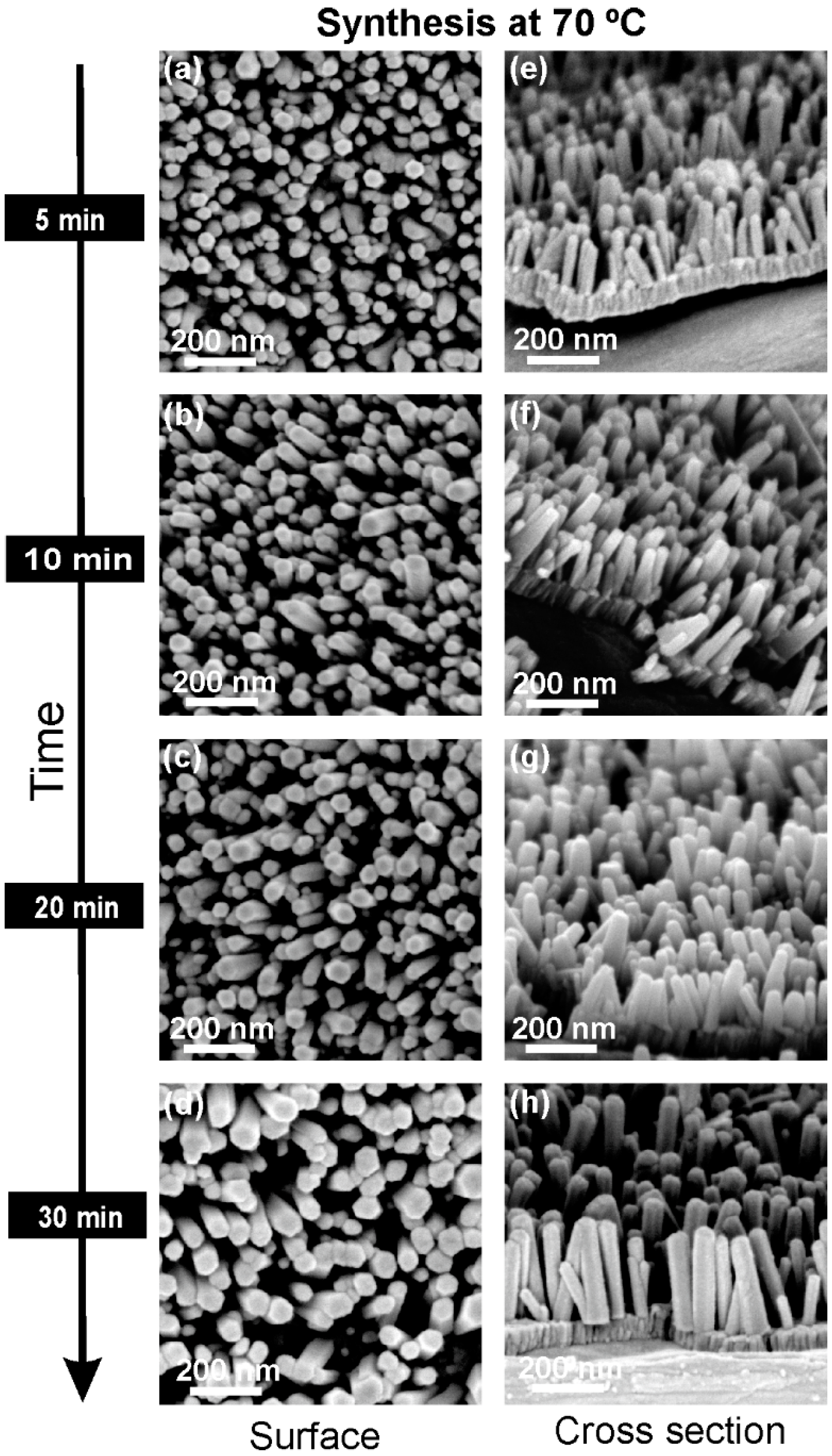 Materials 10 01351 g001