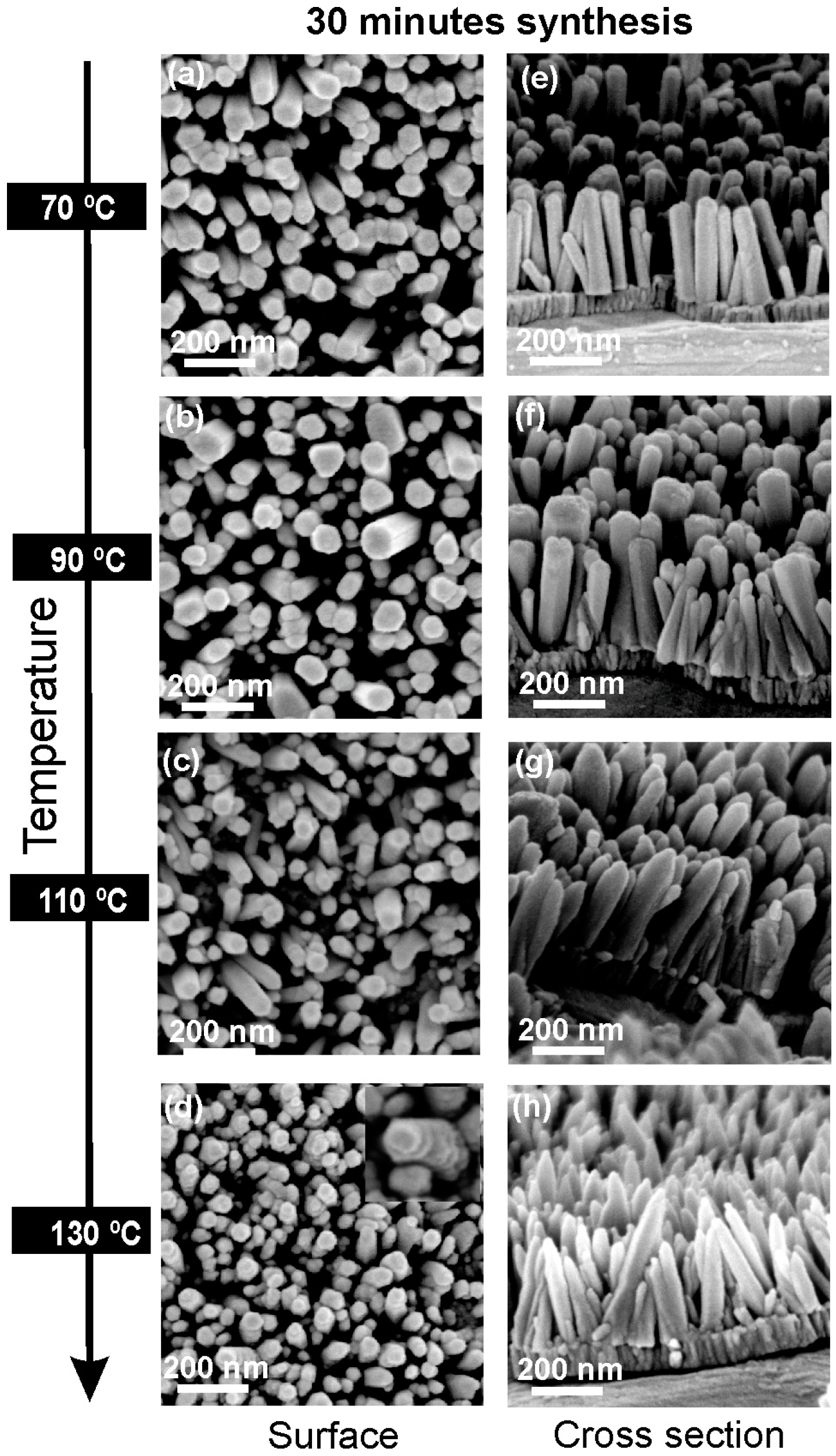 Materials 10 01351 g002