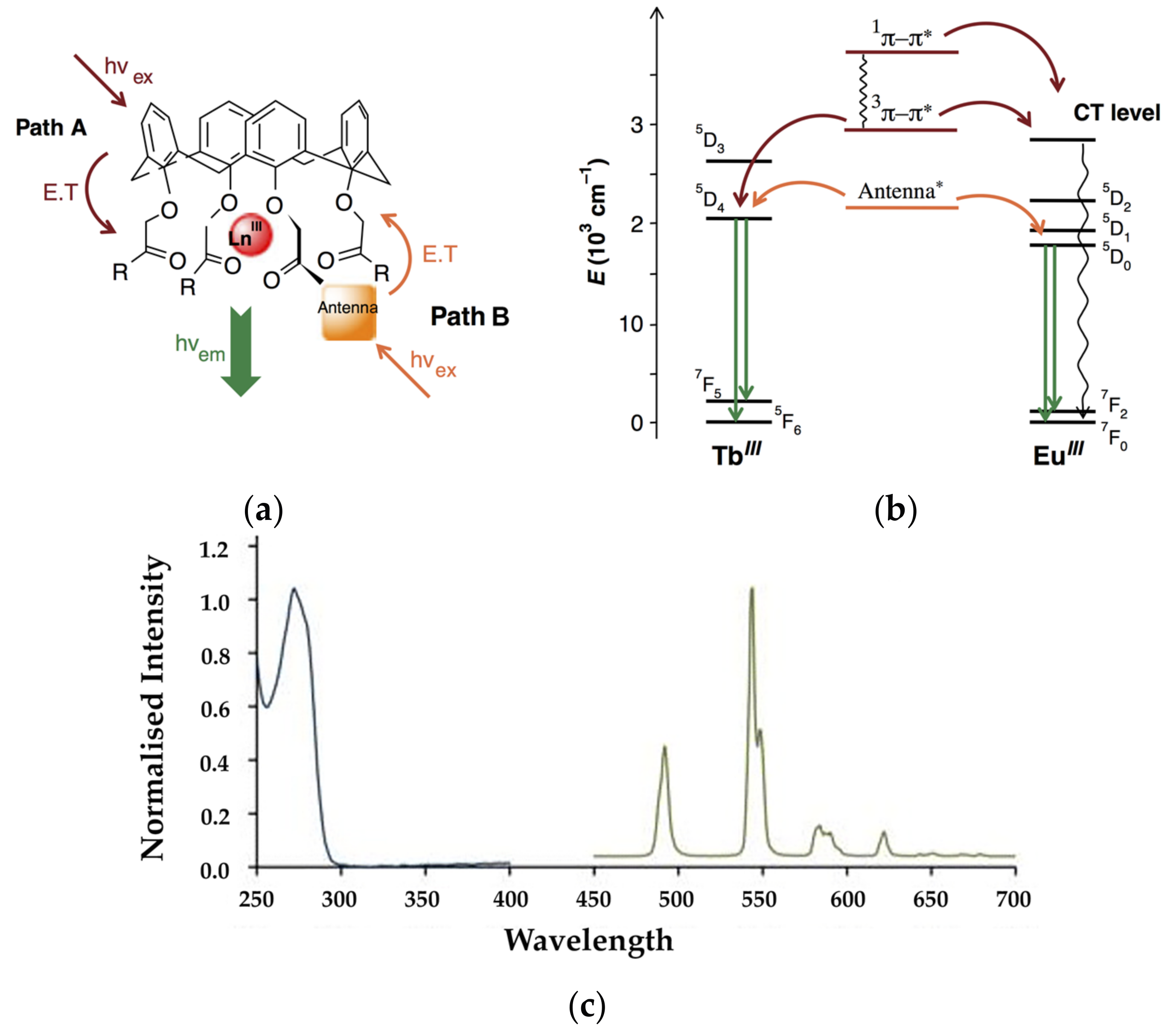 Materials 10 01369 g002
