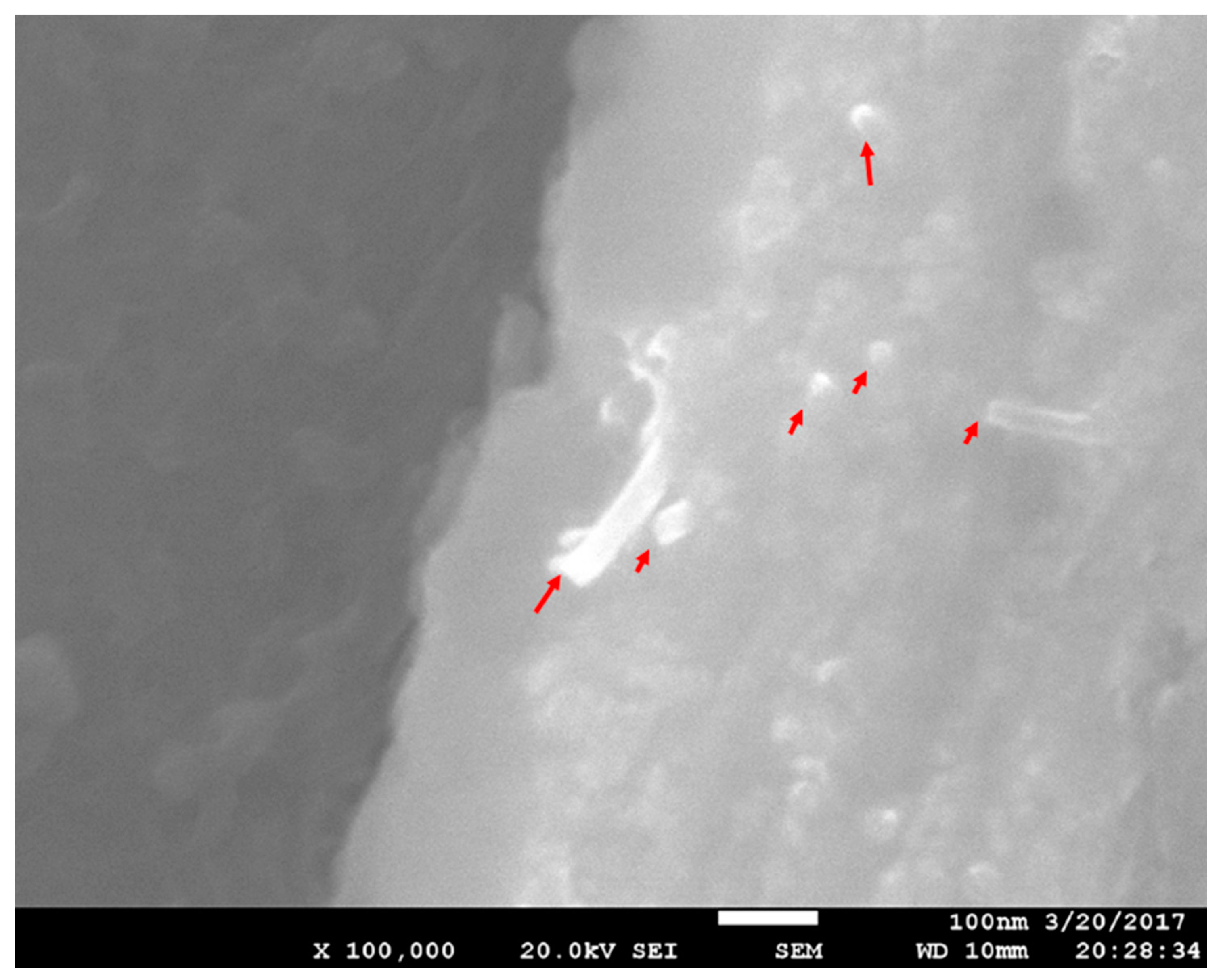 Materials 10 01385 g005