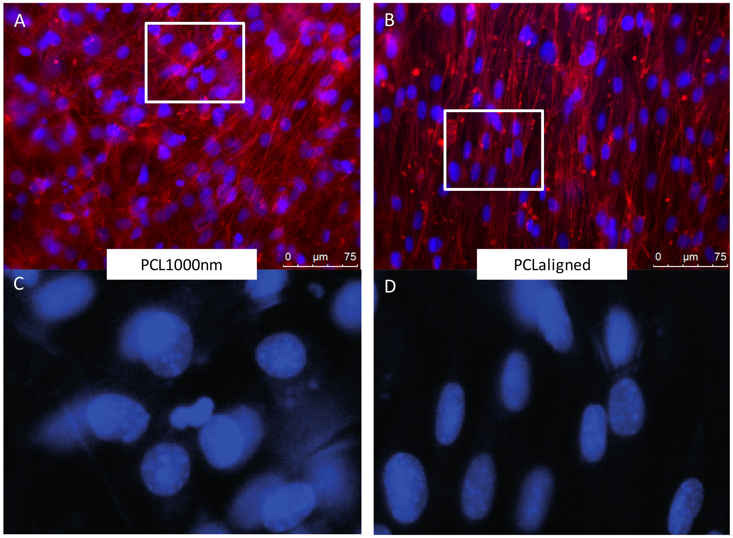 Materials 10 01387 g005