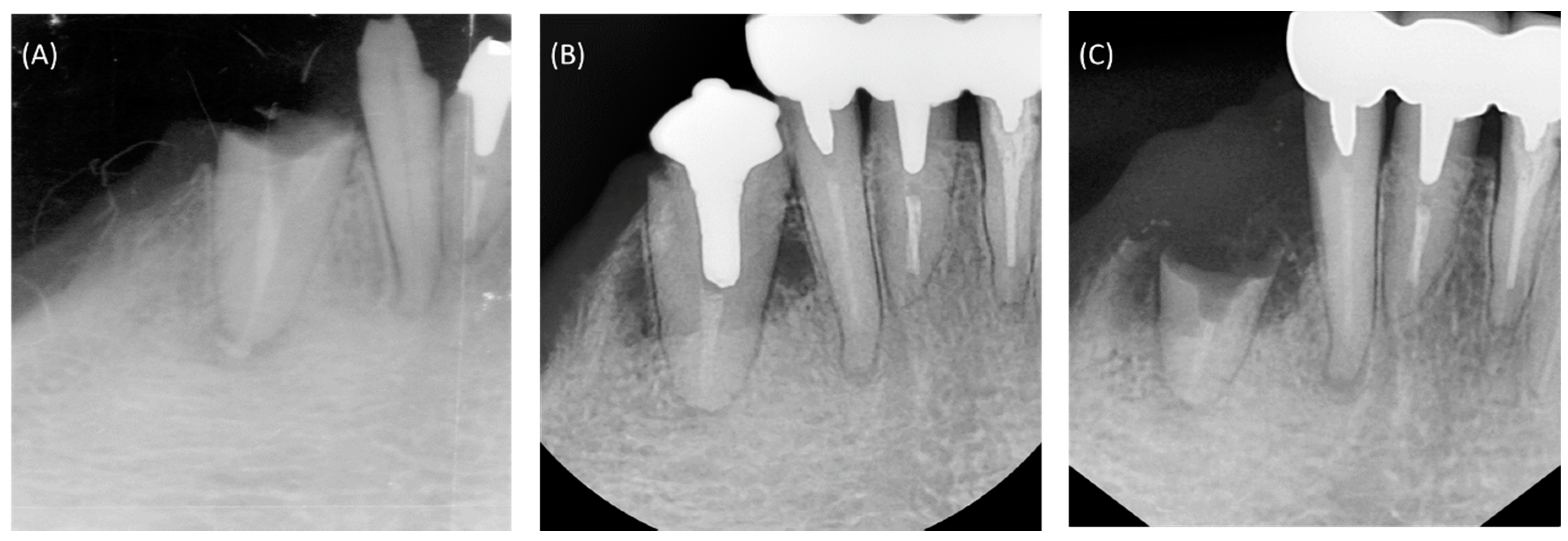 Materials 10 01388 g001