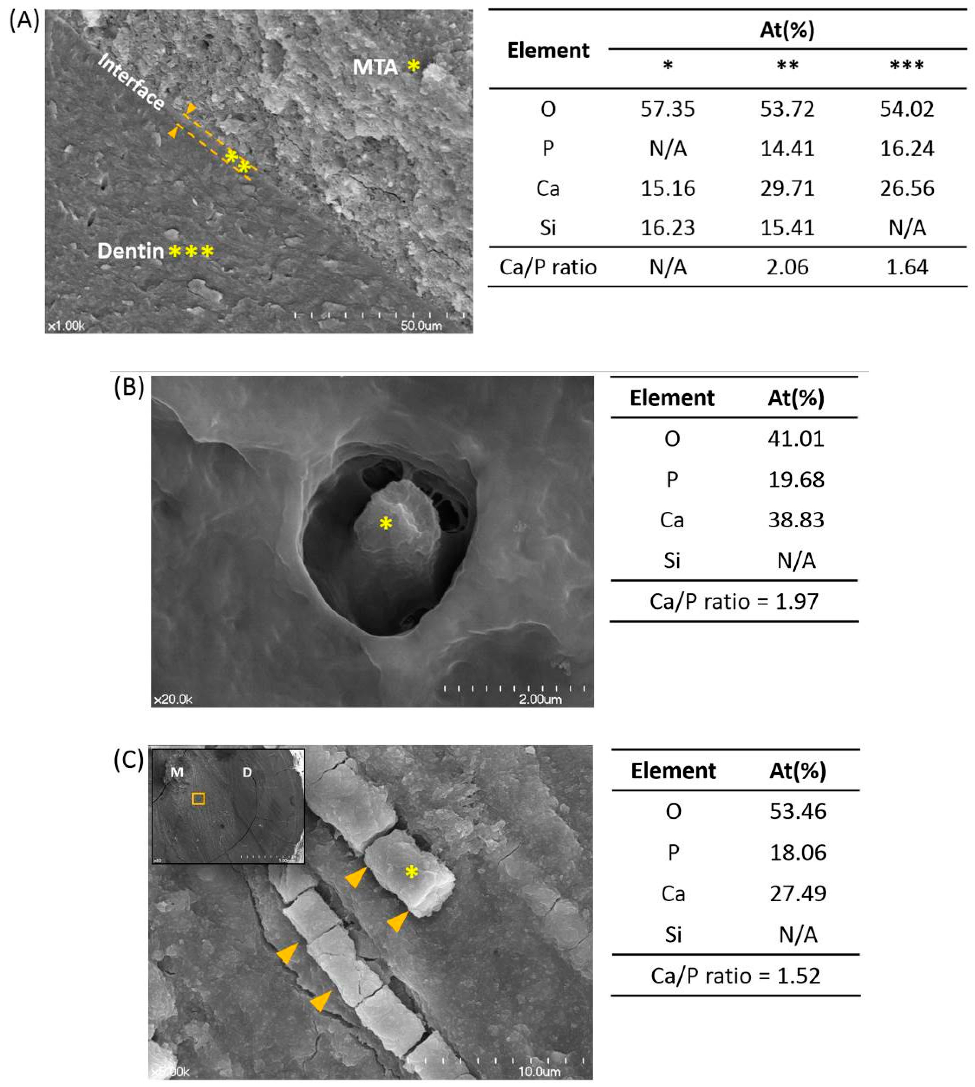 Materials 10 01388 g002