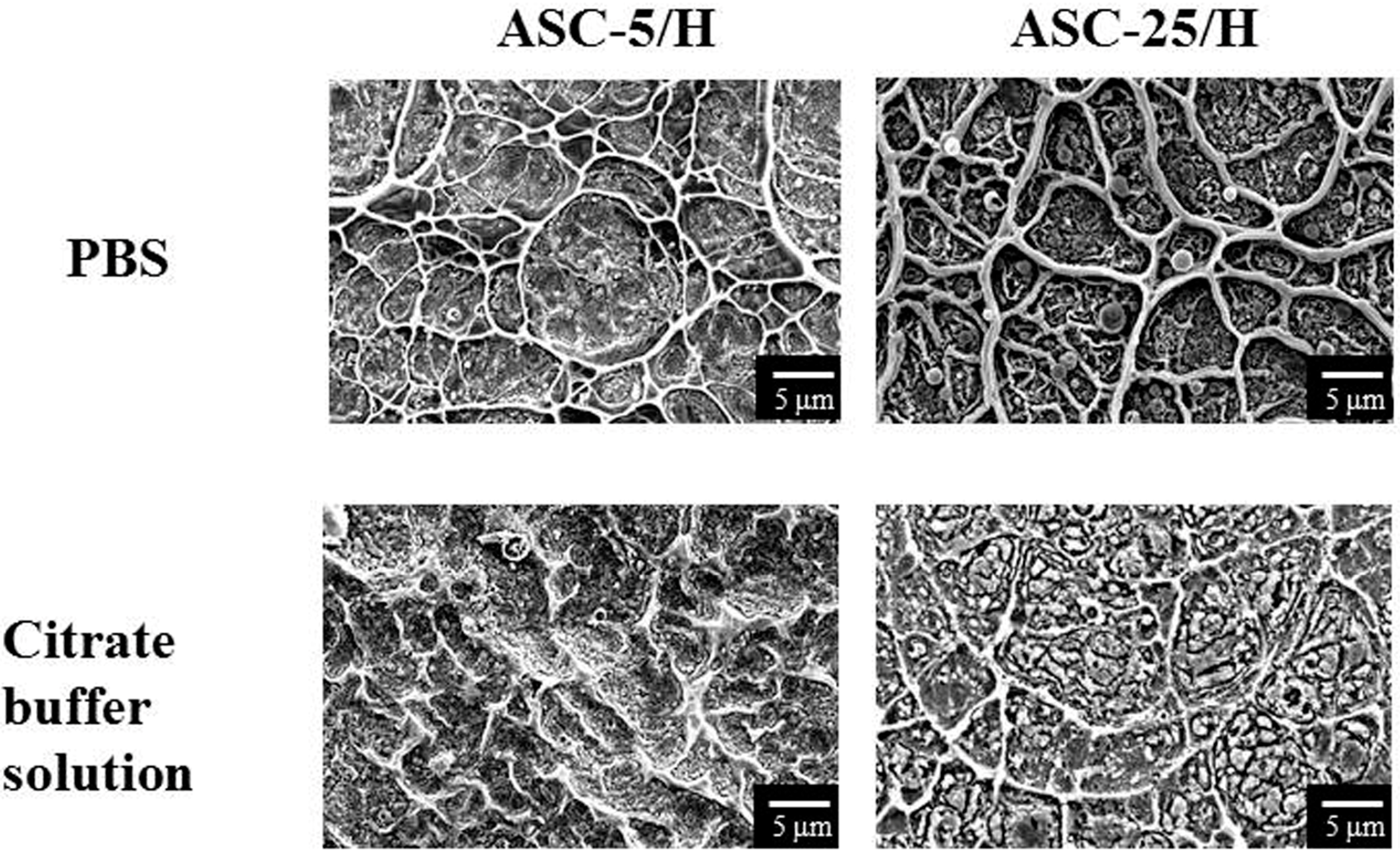 Materials 10 01416 g004