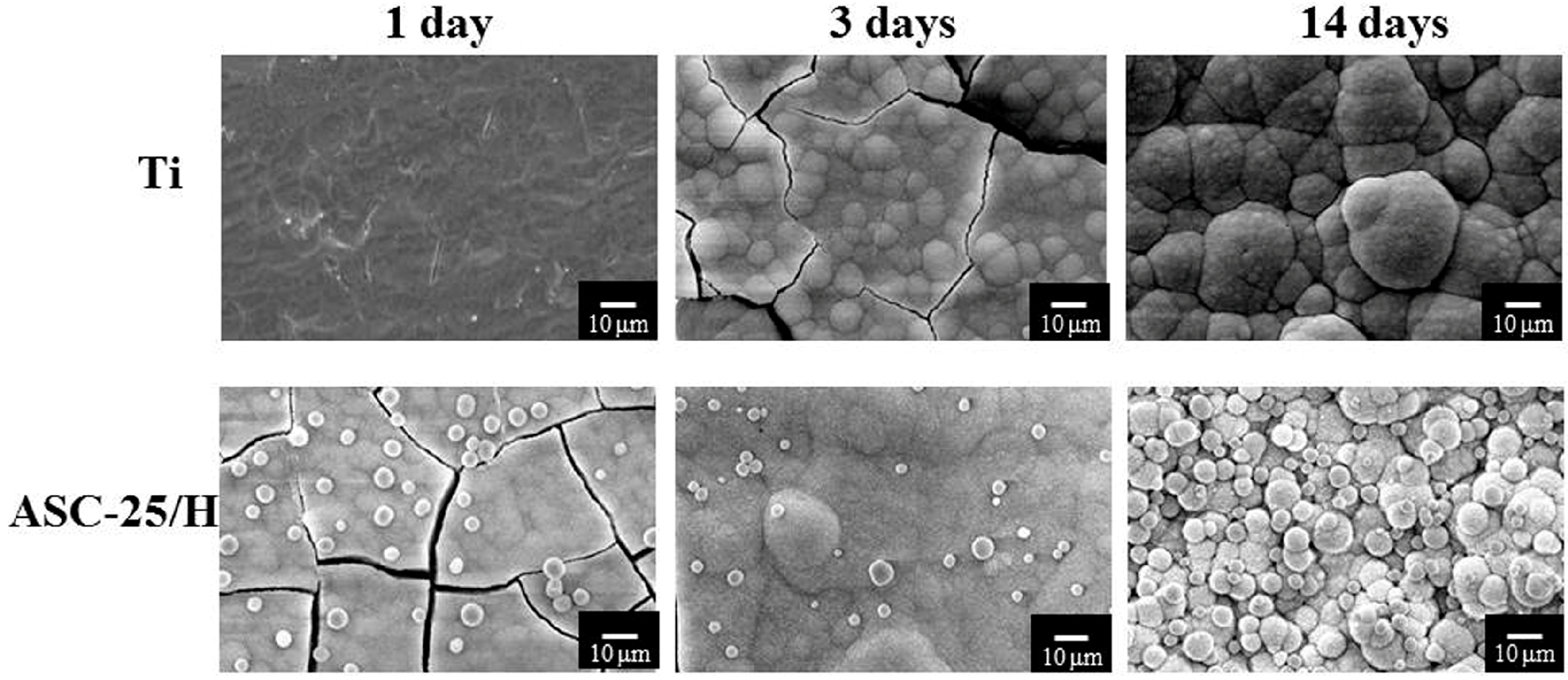 Materials 10 01416 g005