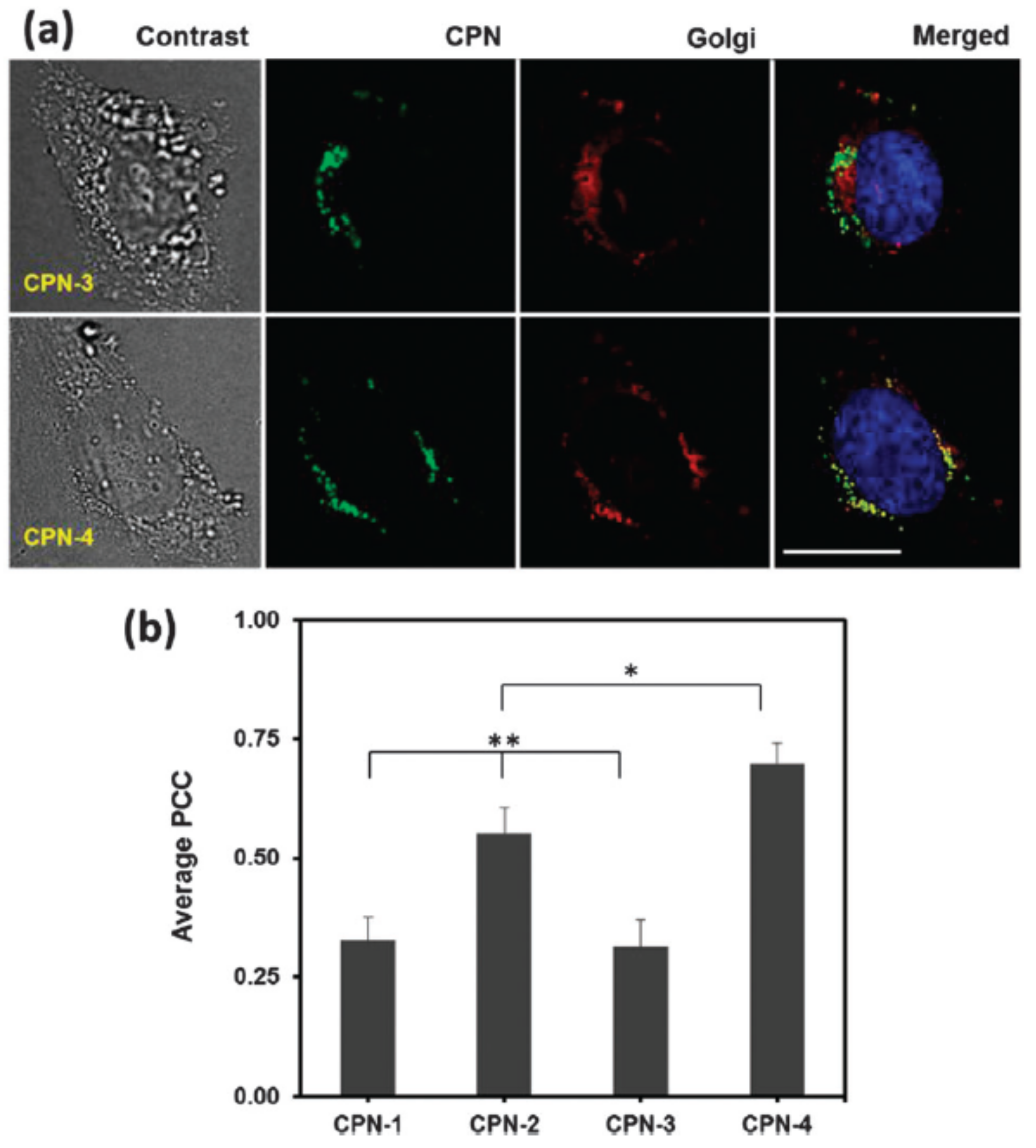 Materials 10 01420 g008