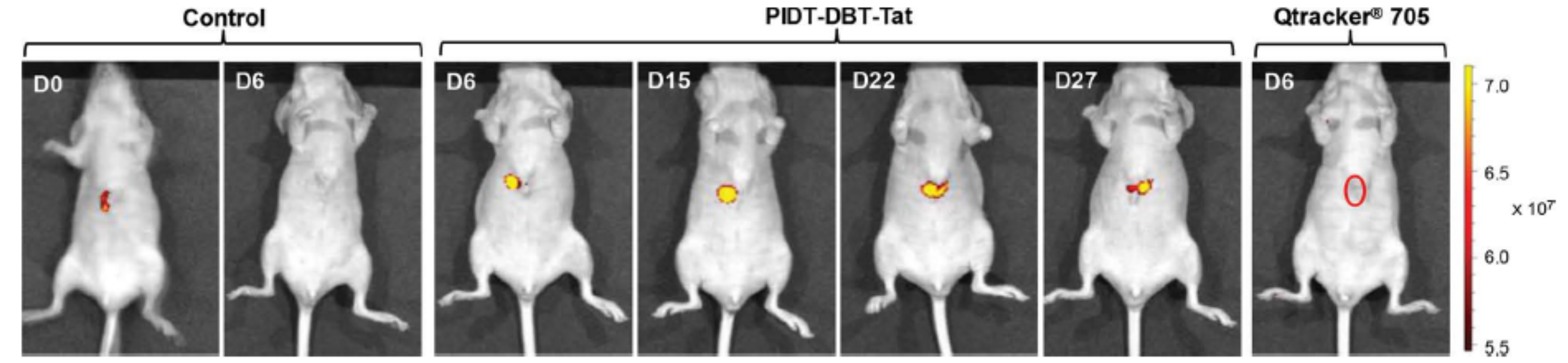 Materials 10 01420 g012