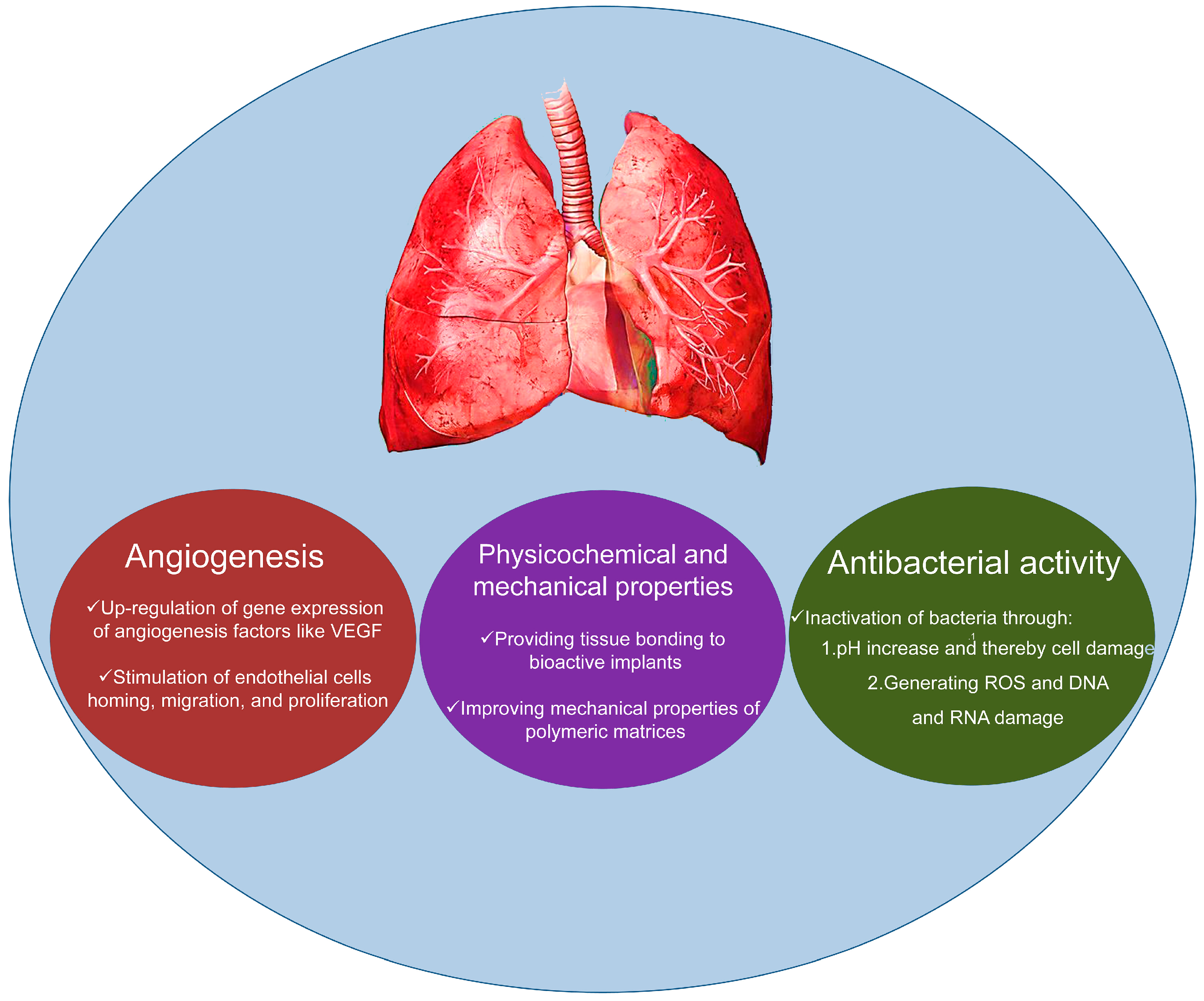 Materials 10 01429 g001 Materials 10 01429 g001