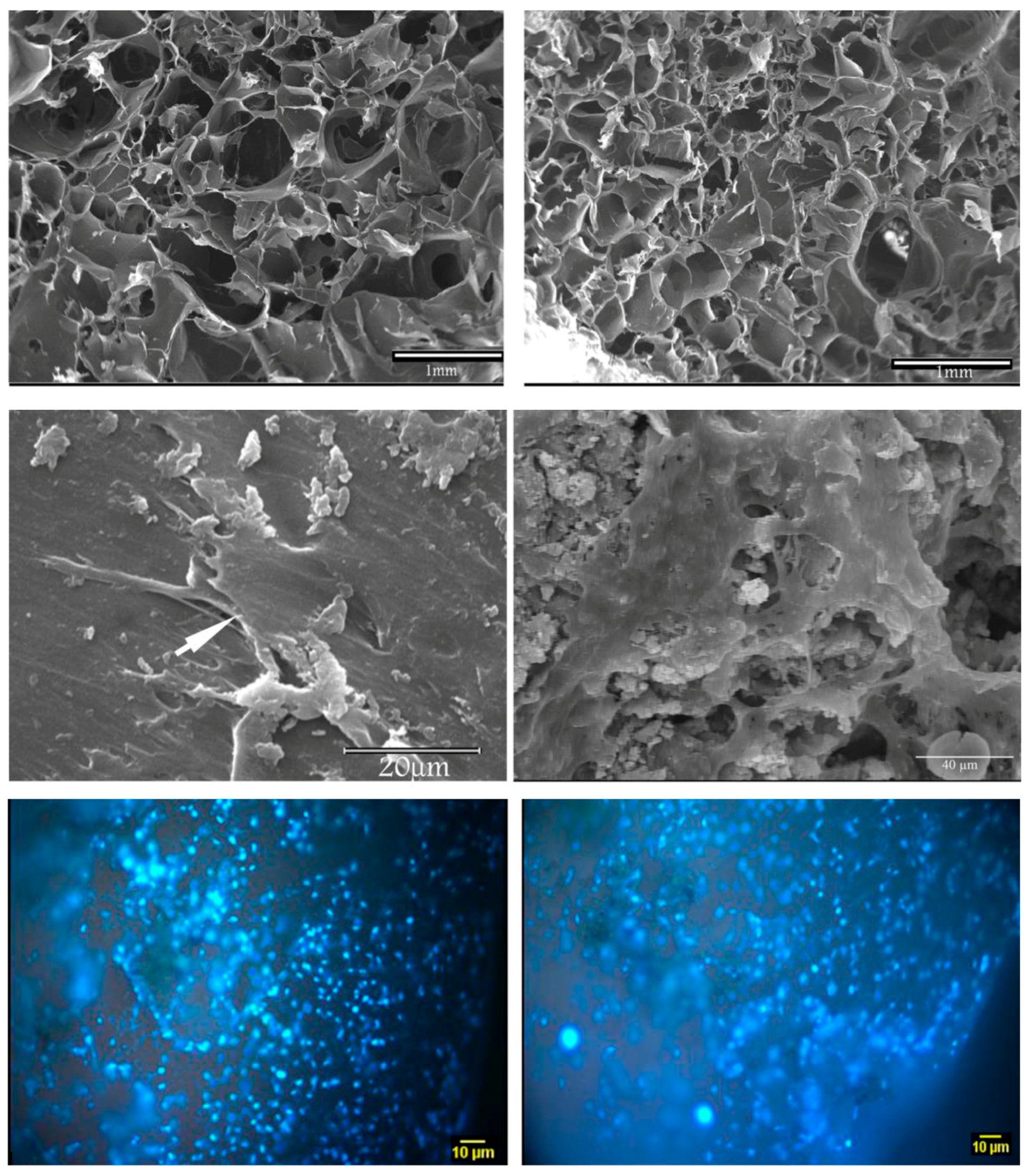 Materials 10 01429 g003 Materials 10 01429 g003