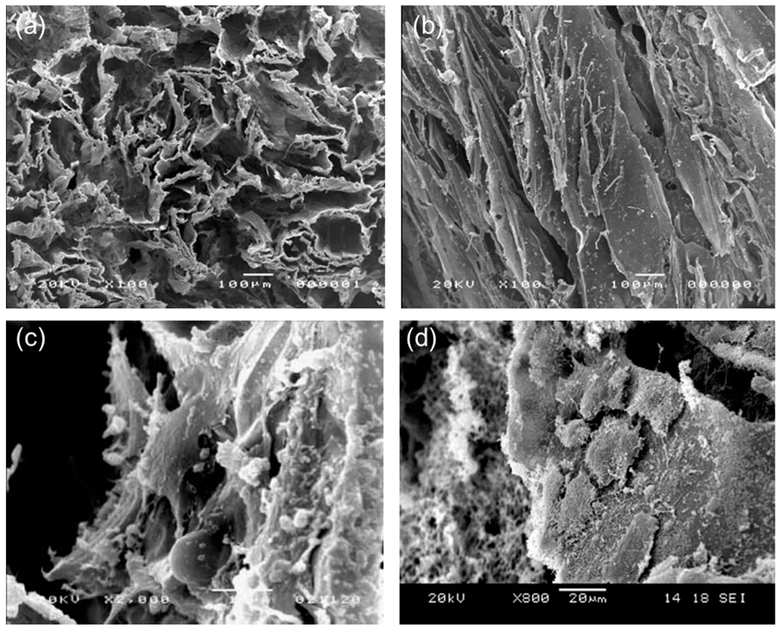 Materials 10 01429 g005 Materials 10 01429 g005