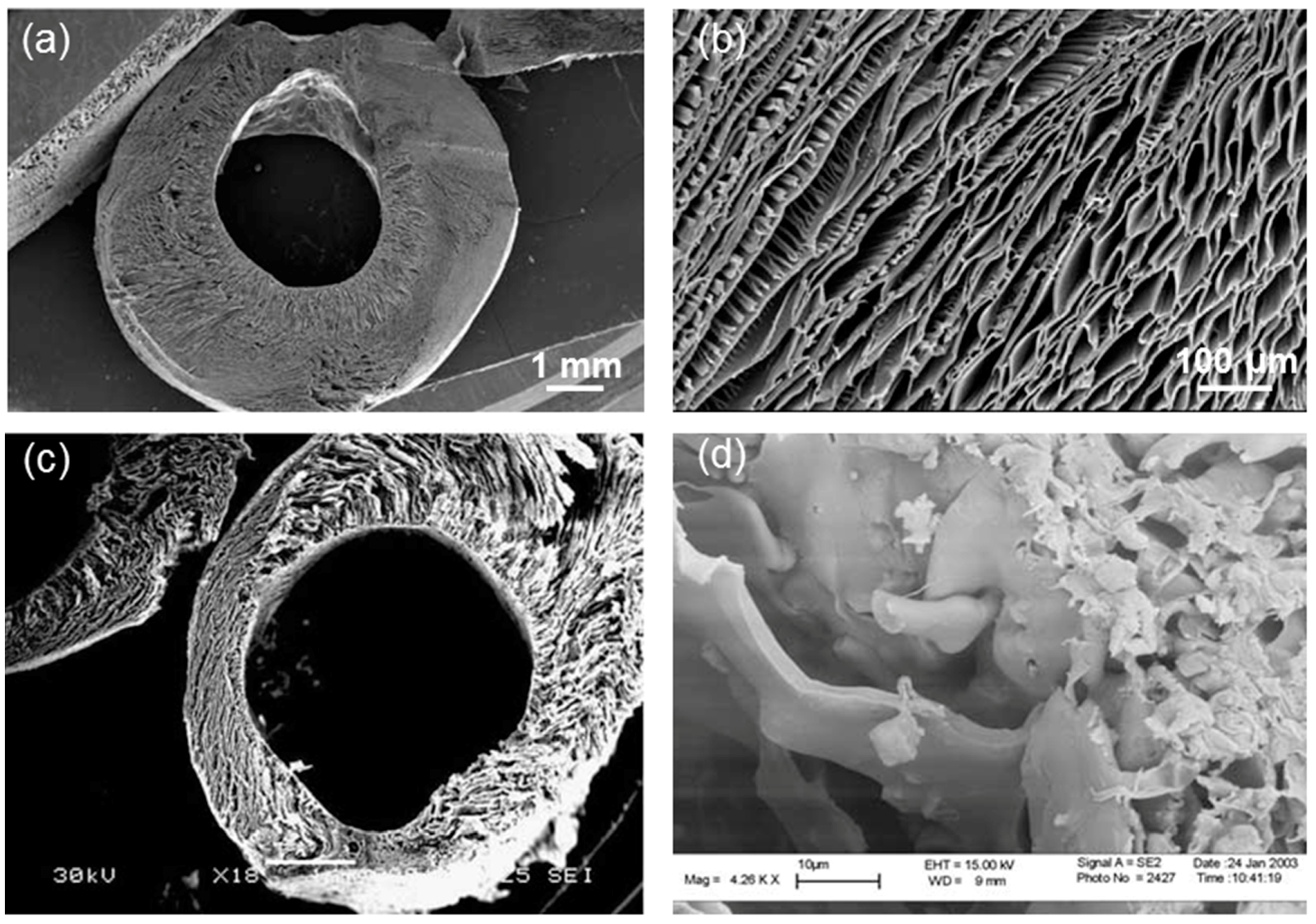 Materials 10 01429 g006 Materials 10 01429 g006