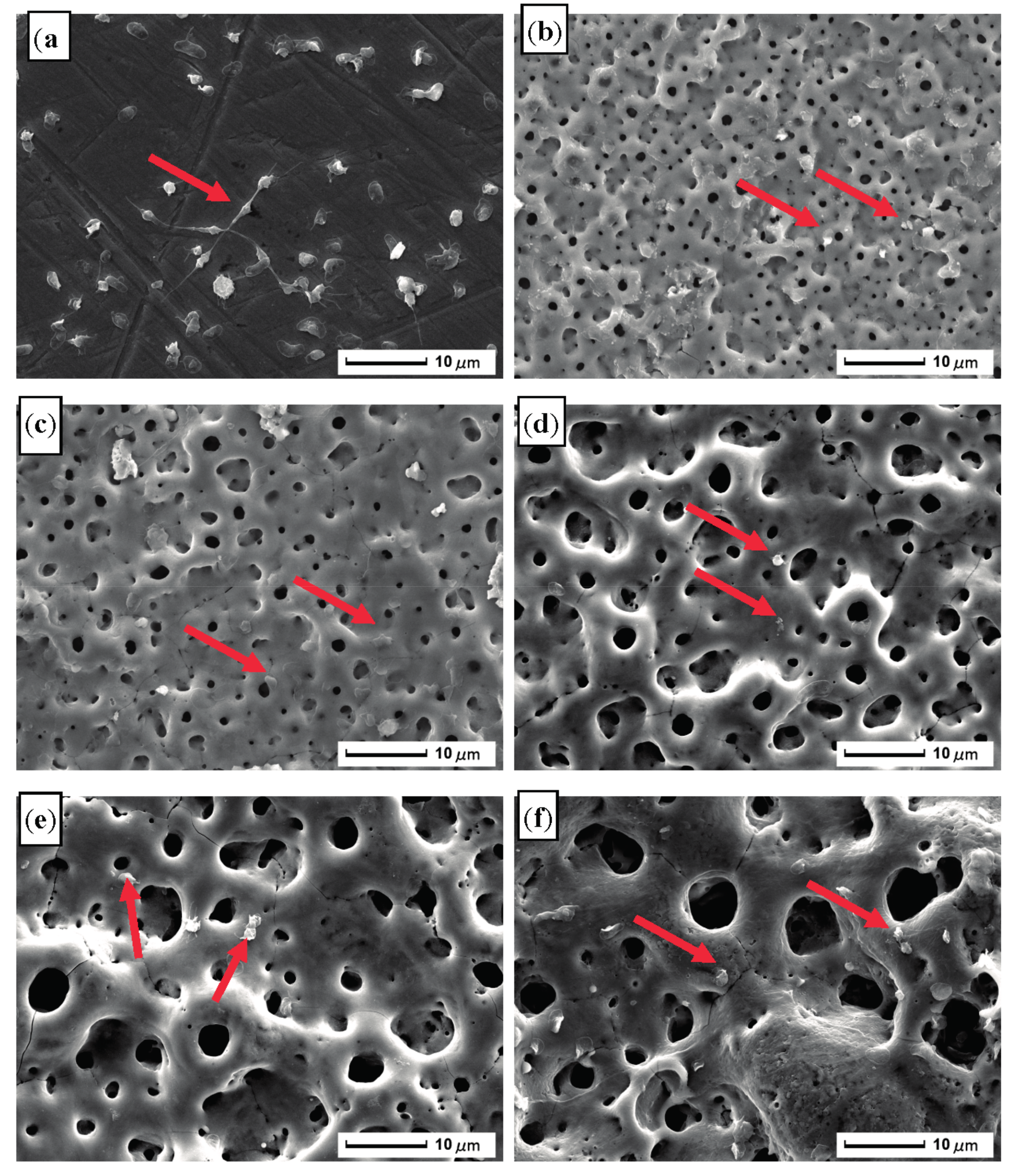 Materials 10 01446 g012 Materials 10 01446 g012