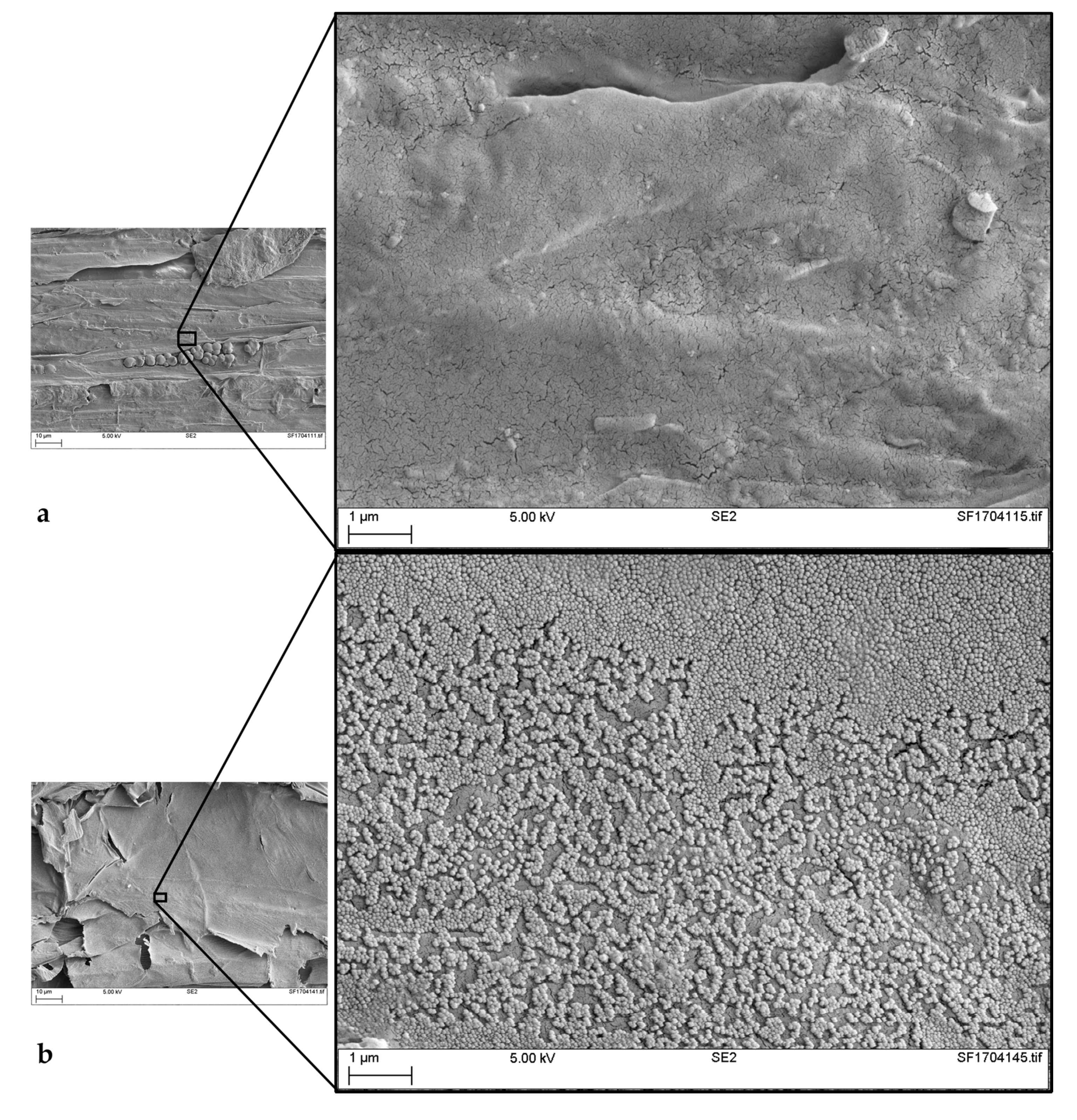 Materials 11 00004 g003a