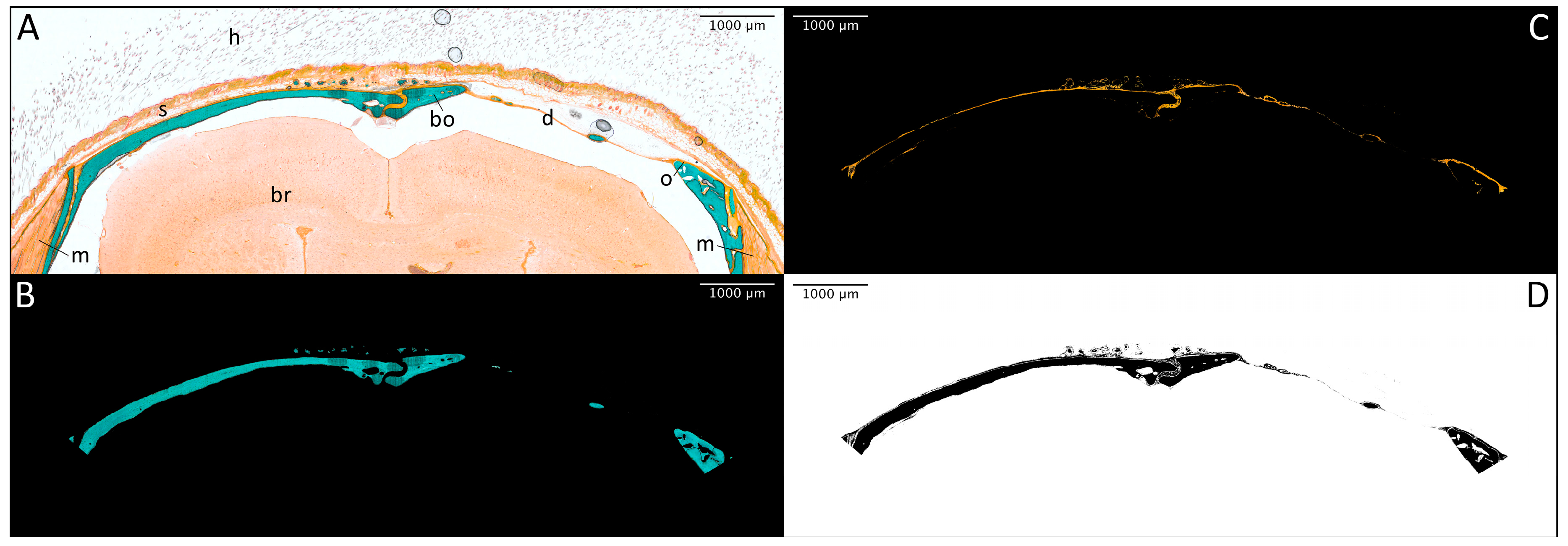 Materials 11 00006 g004