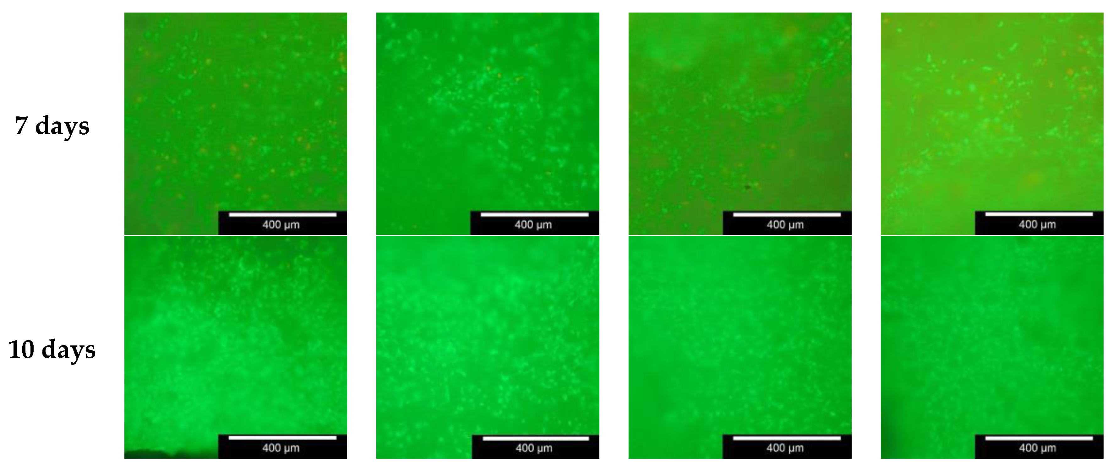 Materials 11 00013 g007b