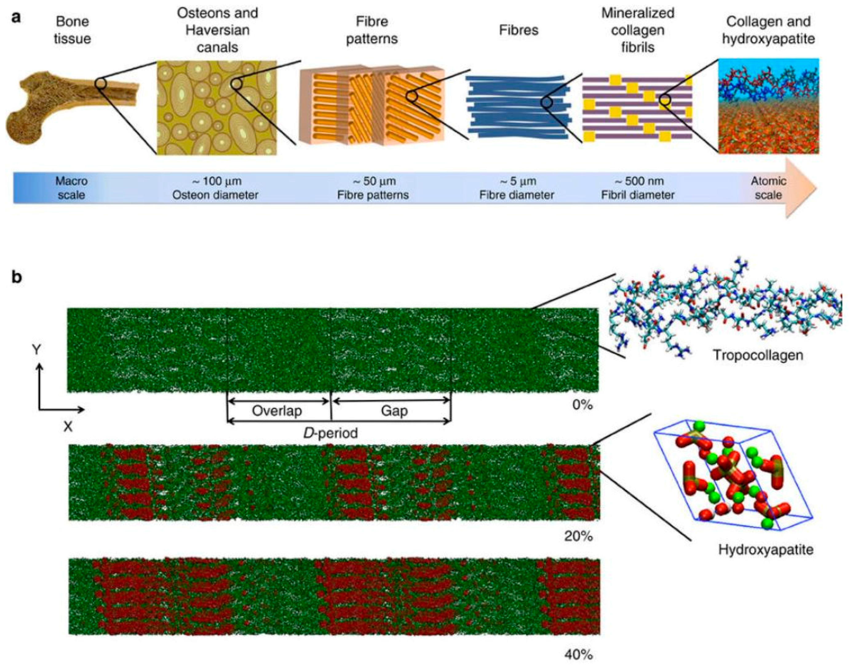 Materials 11 00014 g003