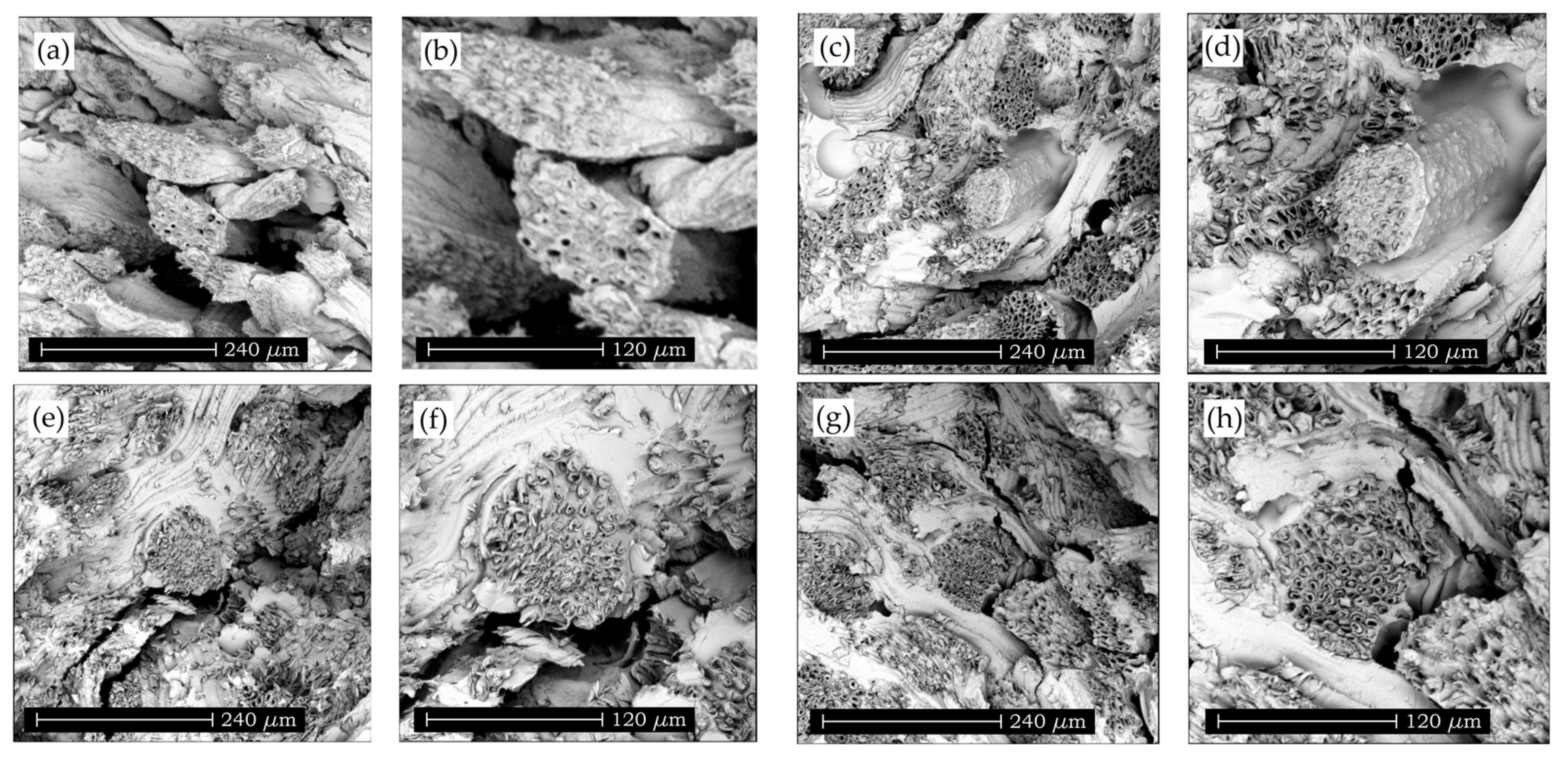 Materials 11 00035 g009 Materials 11 00035 g009