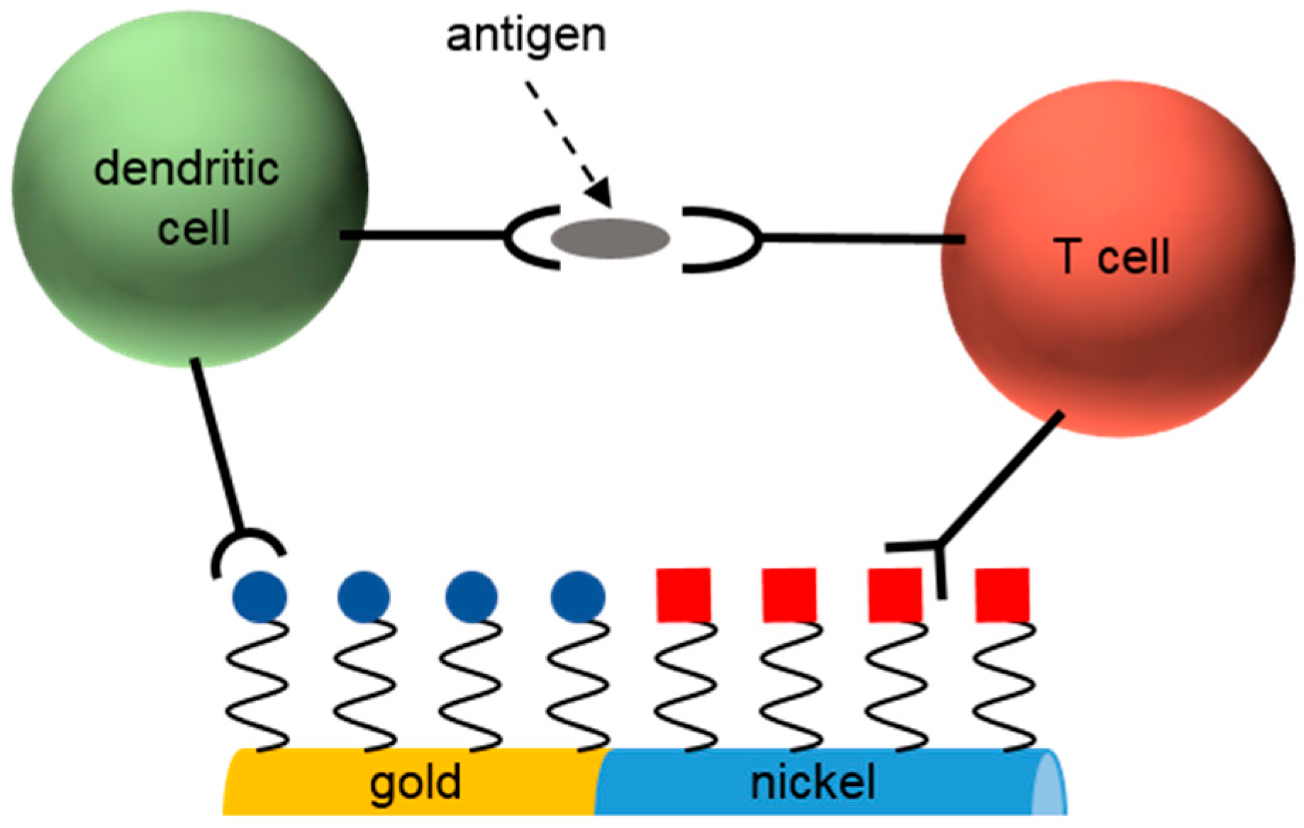 Materials 11 00045 g004