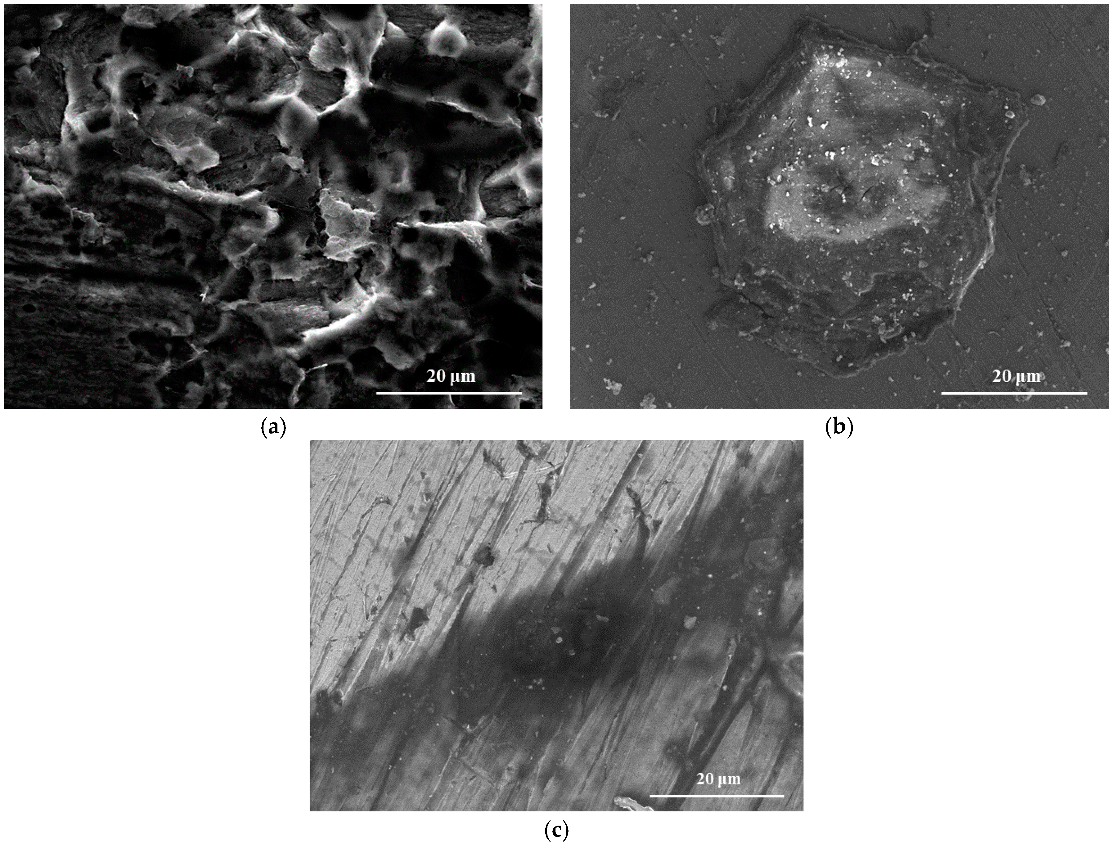 Materials 11 00059 g001 Materials 11 00059 g001