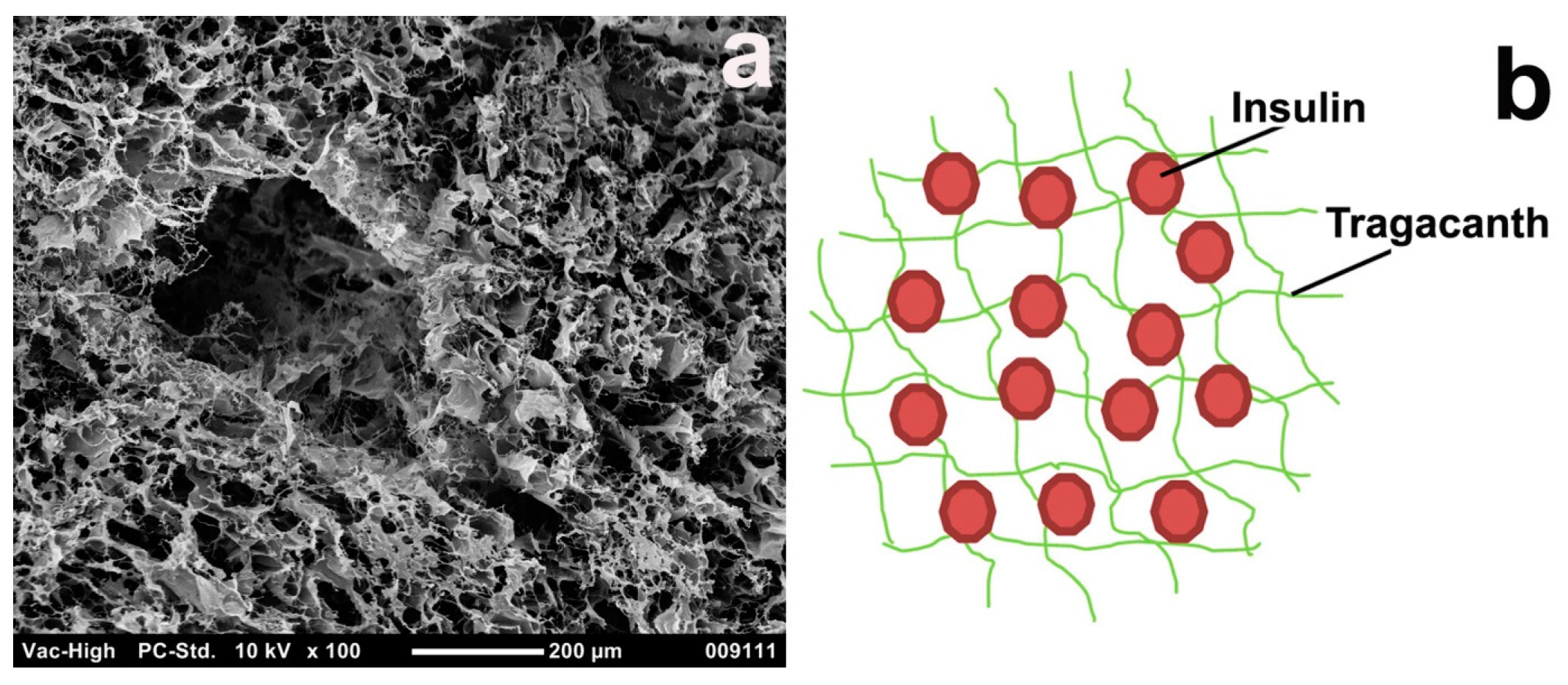 Materials 11 00079 g005