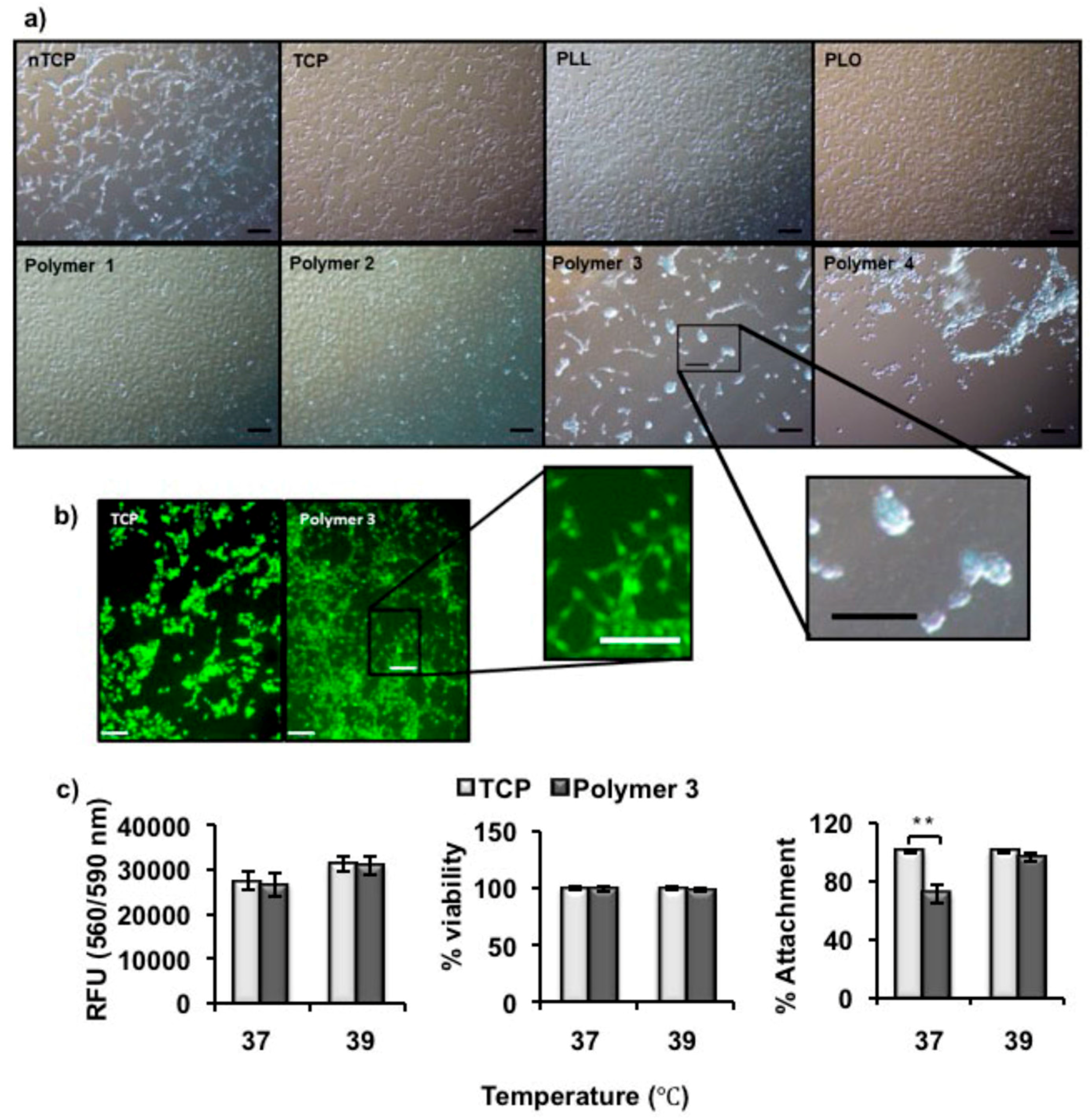 Materials 11 00095 g003