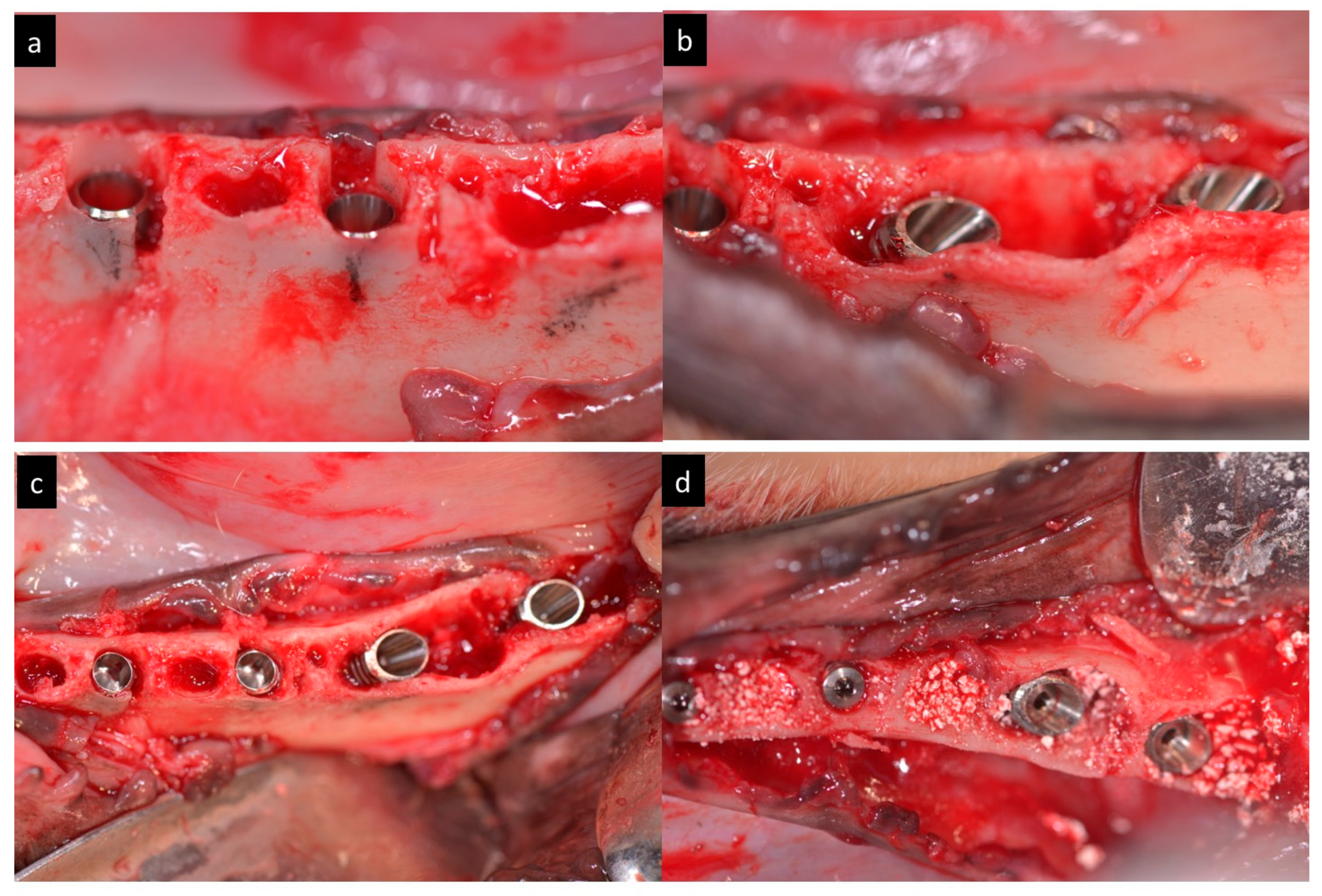 Materials 11 00119 g004