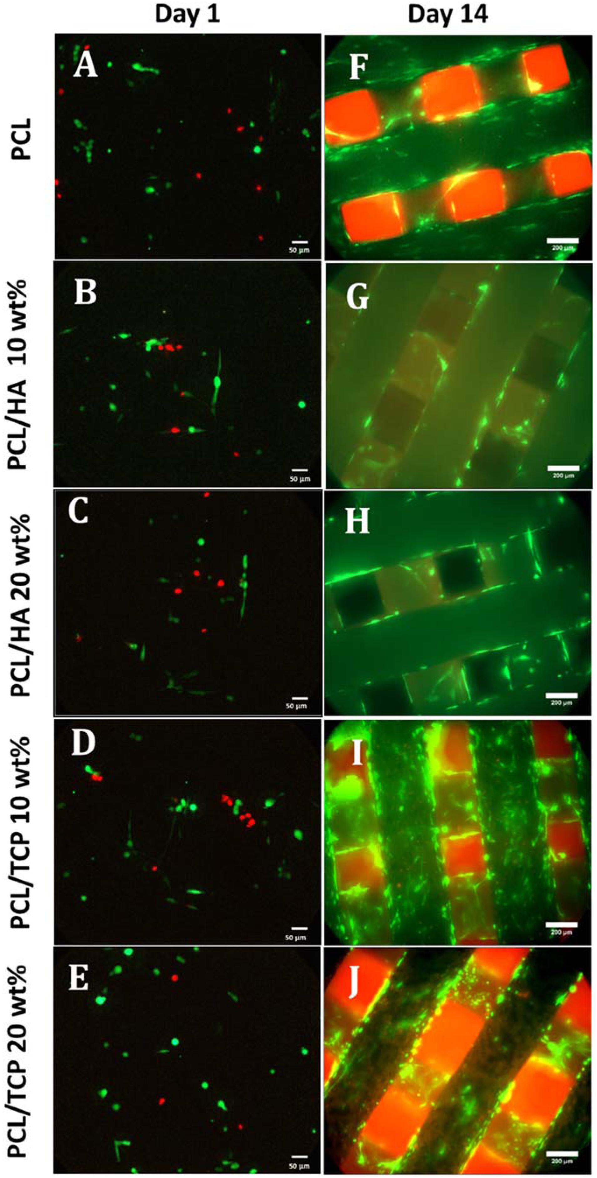 Materials 11 00129 g006